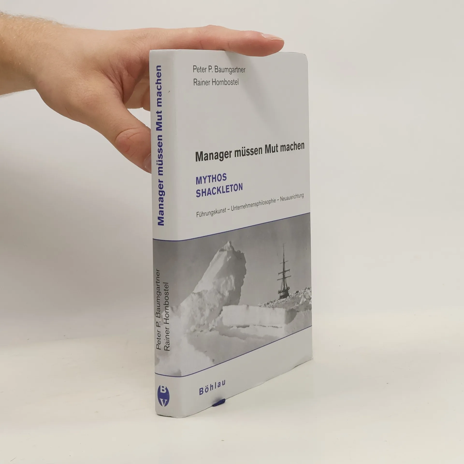 Manager müssen Mut machen | Book | Peter P. Baumgartner | DE