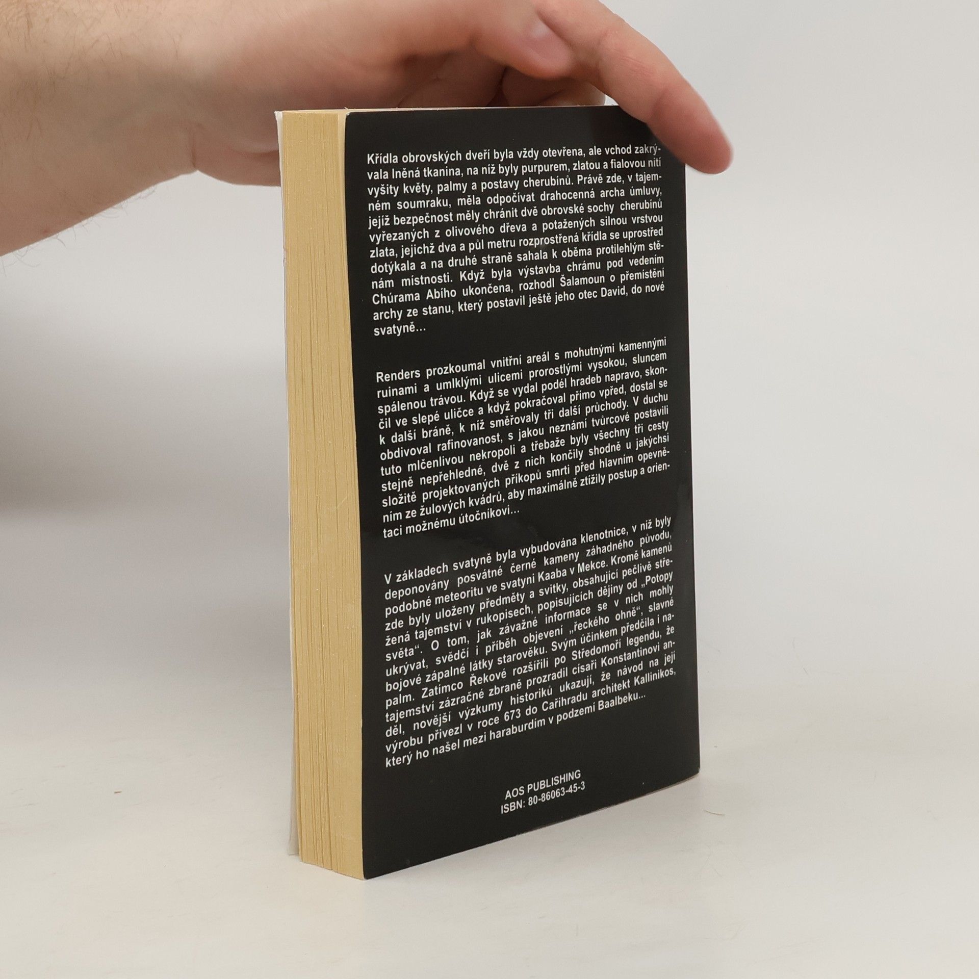 Miloš Jesenský Po stopách ztracené archy : Vzrušující pátrání po zmizelém biblickém artefaktu