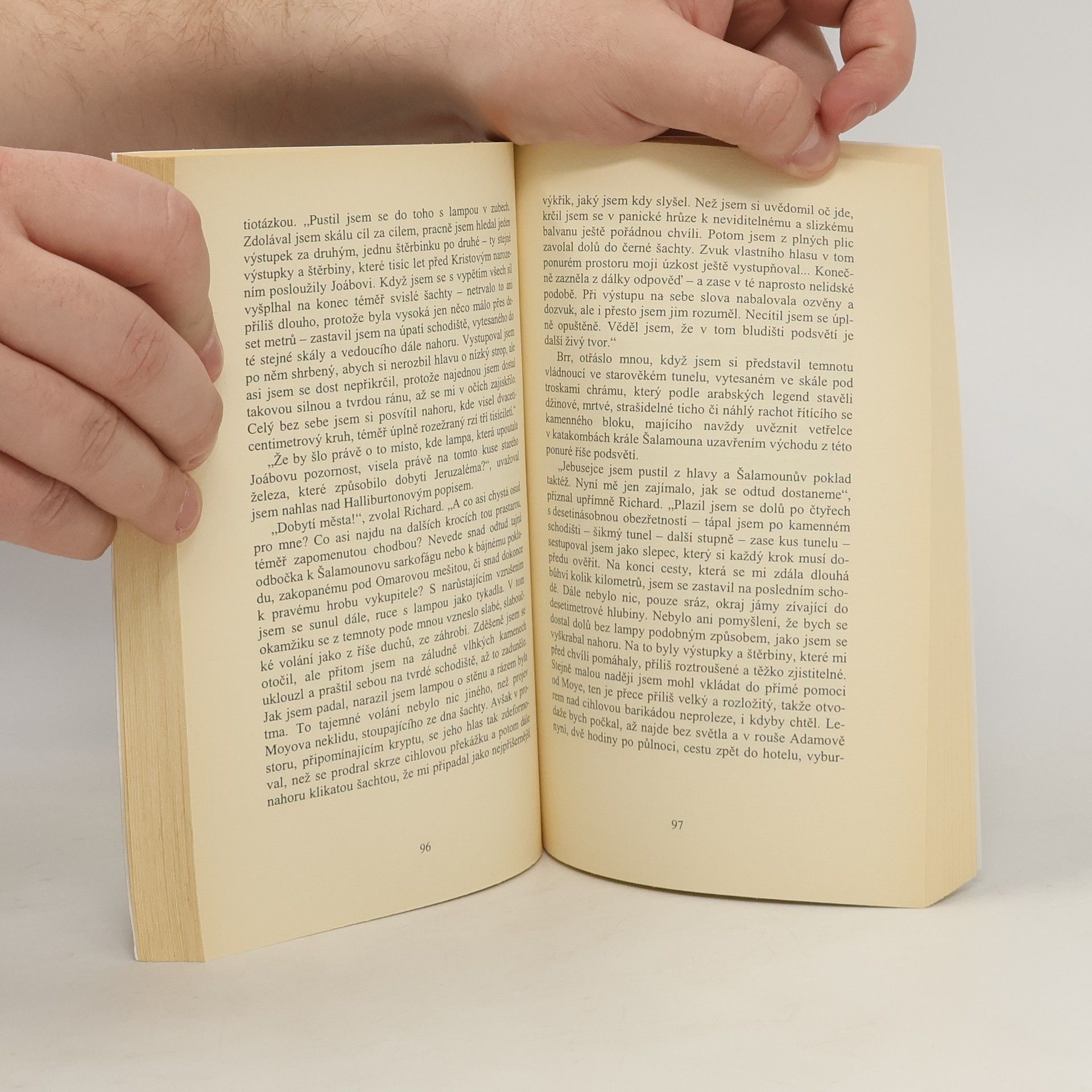 Miloš Jesenský Po stopách ztracené archy : Vzrušující pátrání po zmizelém biblickém artefaktu