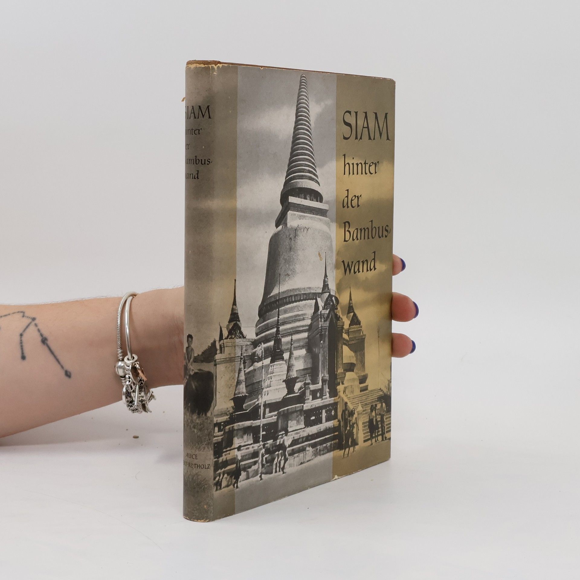 Alice Ekert-Rotholz Siam hinter der Bambuswand