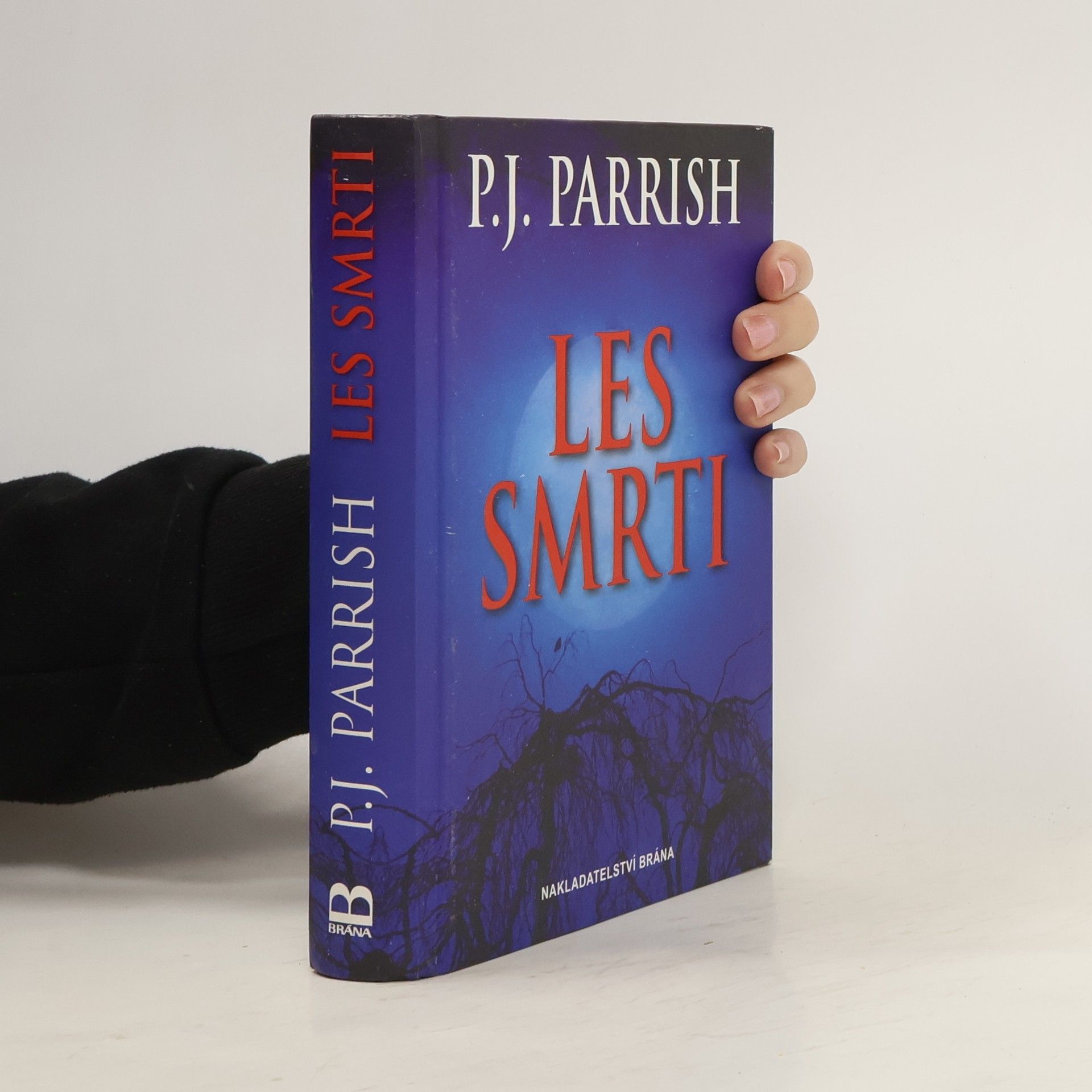 P. J. Parrish Les smrti