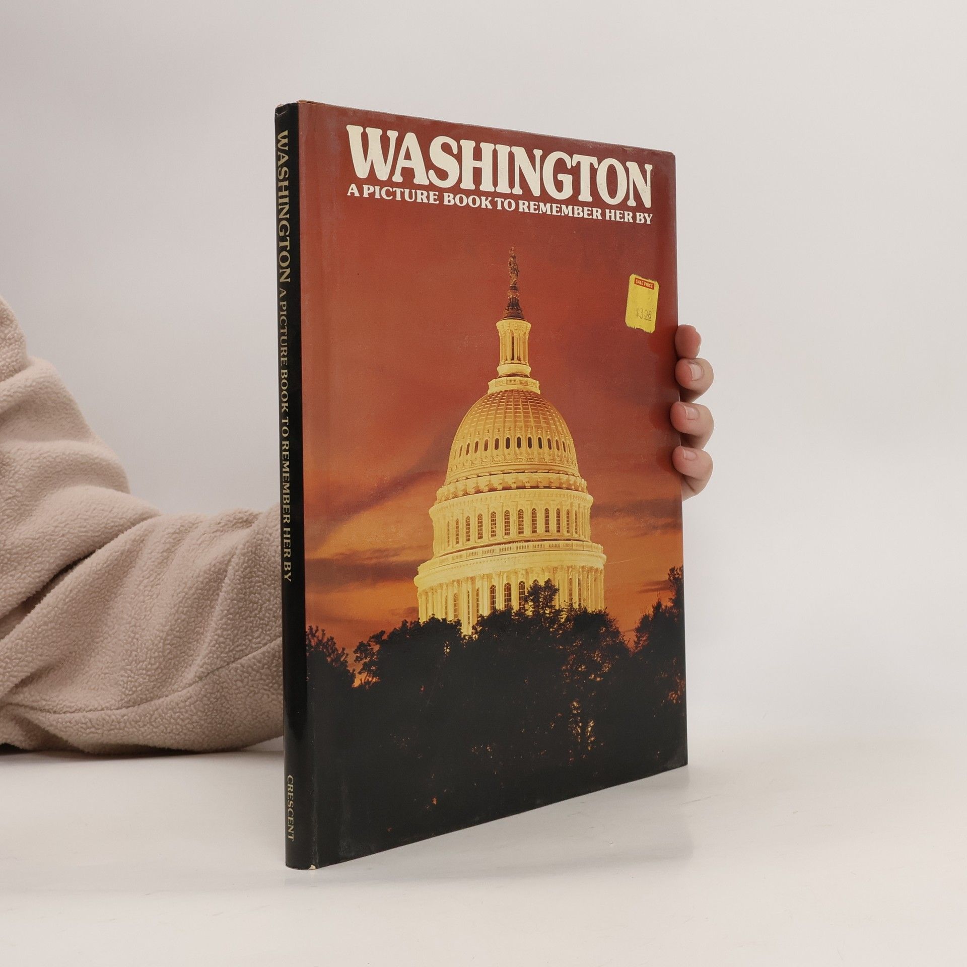 Ted Smart Washington : a picture book to remember her by