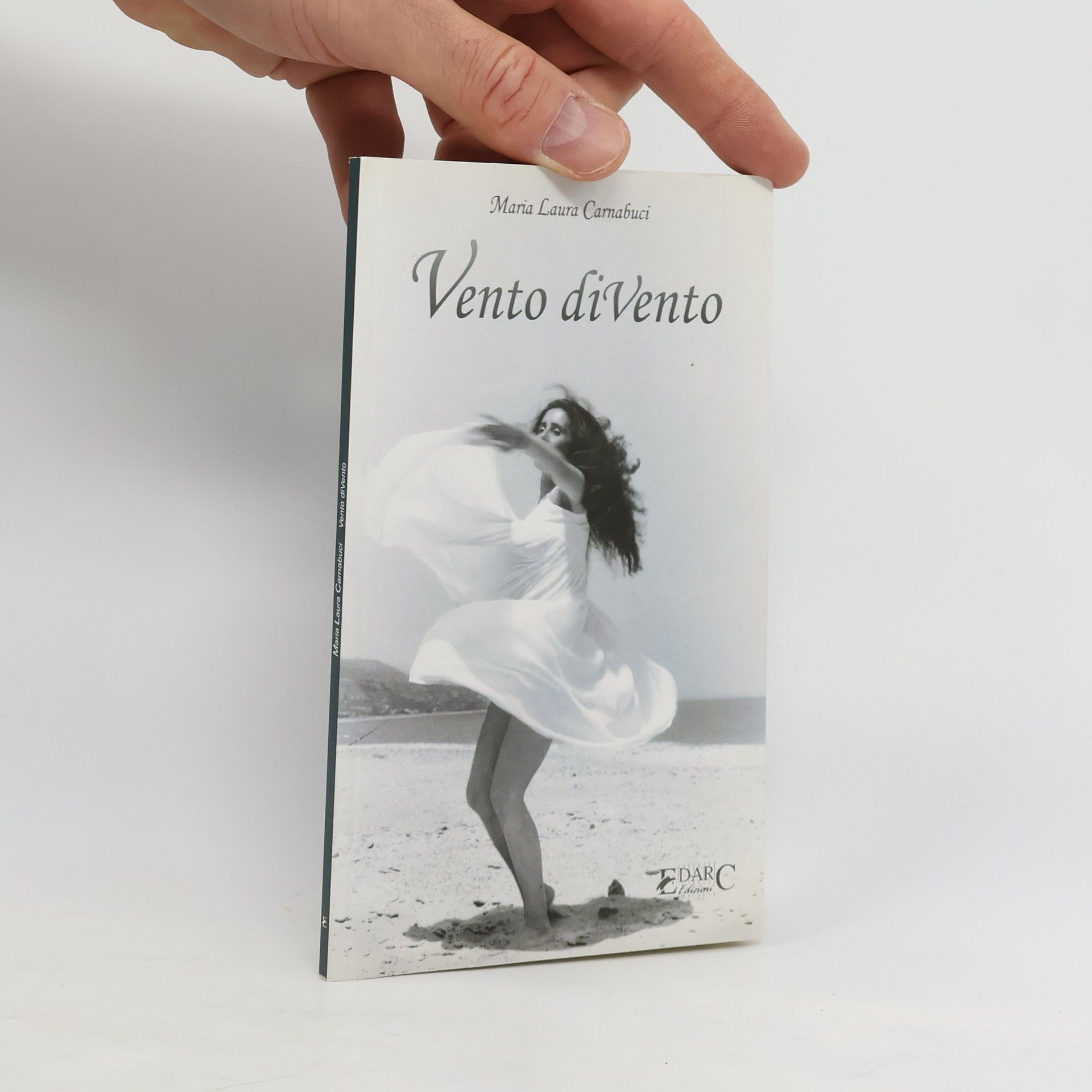 Maria Laura Carnabuci Vento diVento. Pensieri liberi sulle ali di un soffio