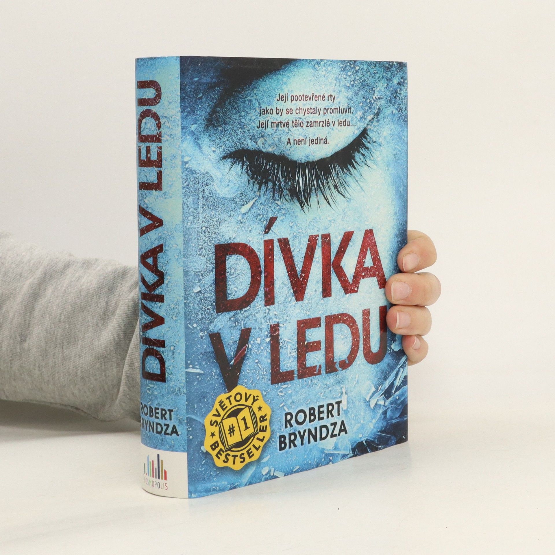 Robert Bryndza Dívka v ledu