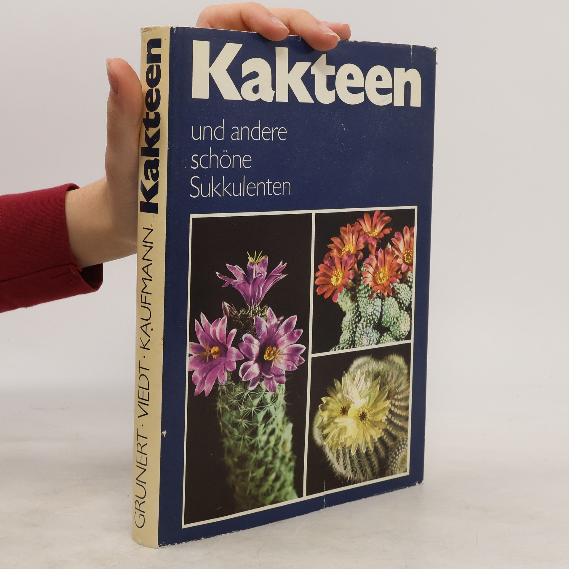 kolektiv Kakteen und andere schöne Sukkulenten
