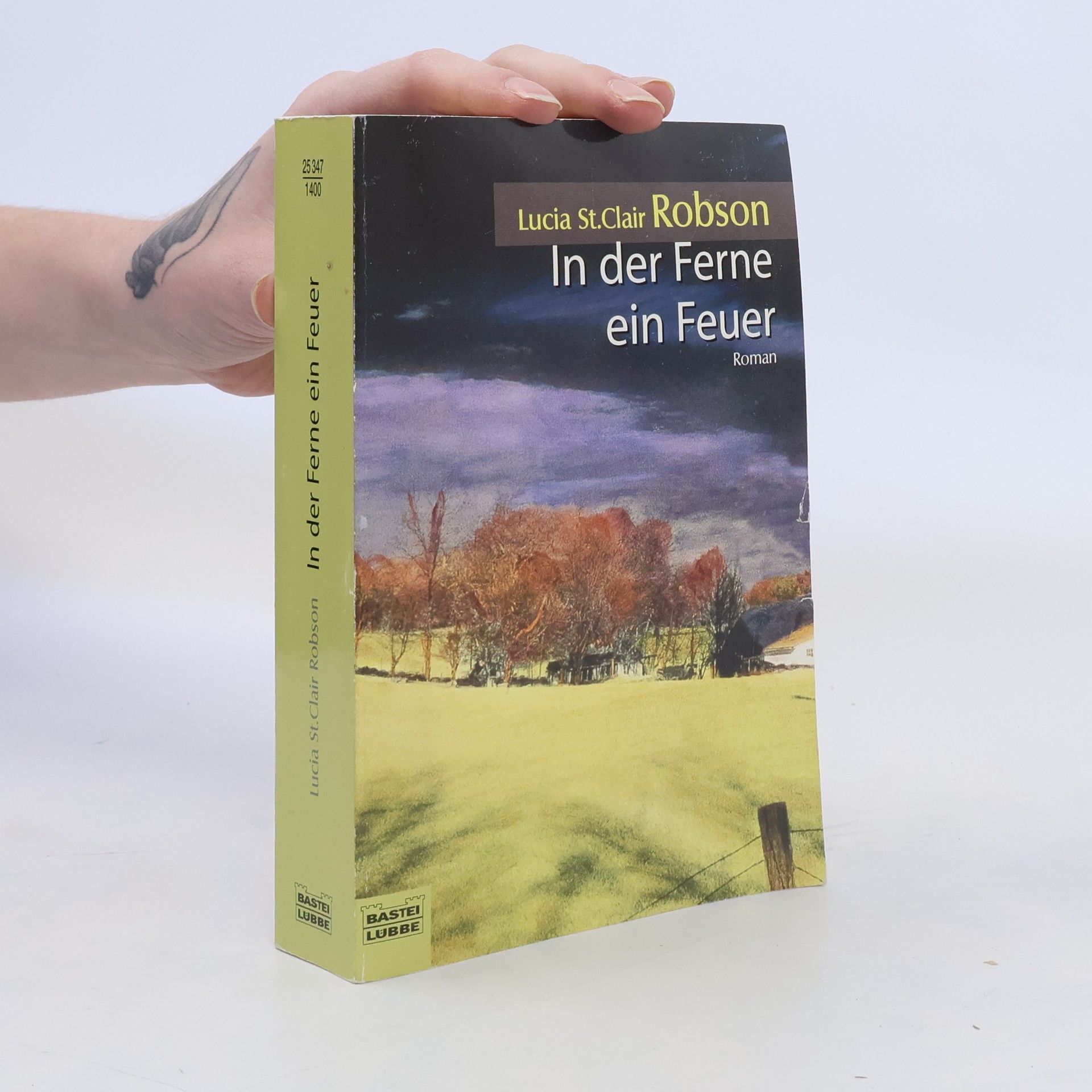 Lucia Saint Clair Robson In der Ferne ein Feuer