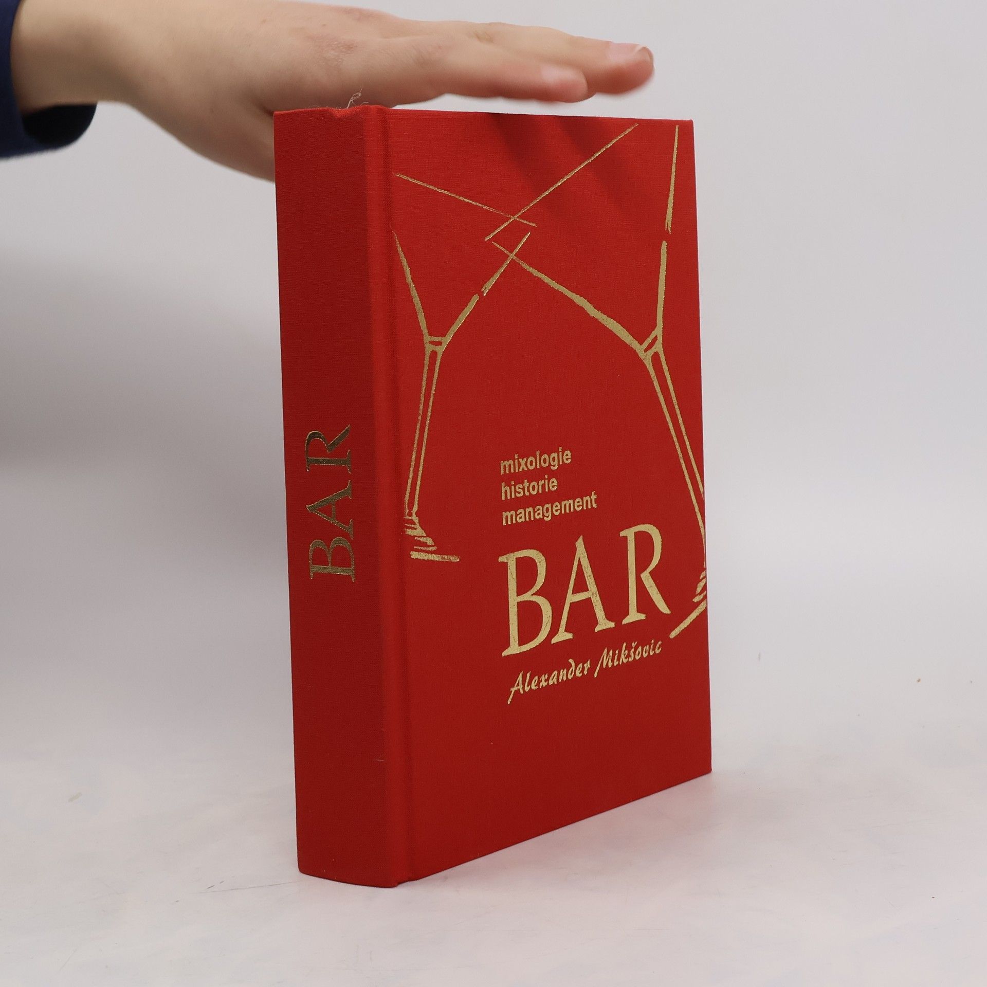 Alexander Mikšovic Bar. Mixologie, historie, management
