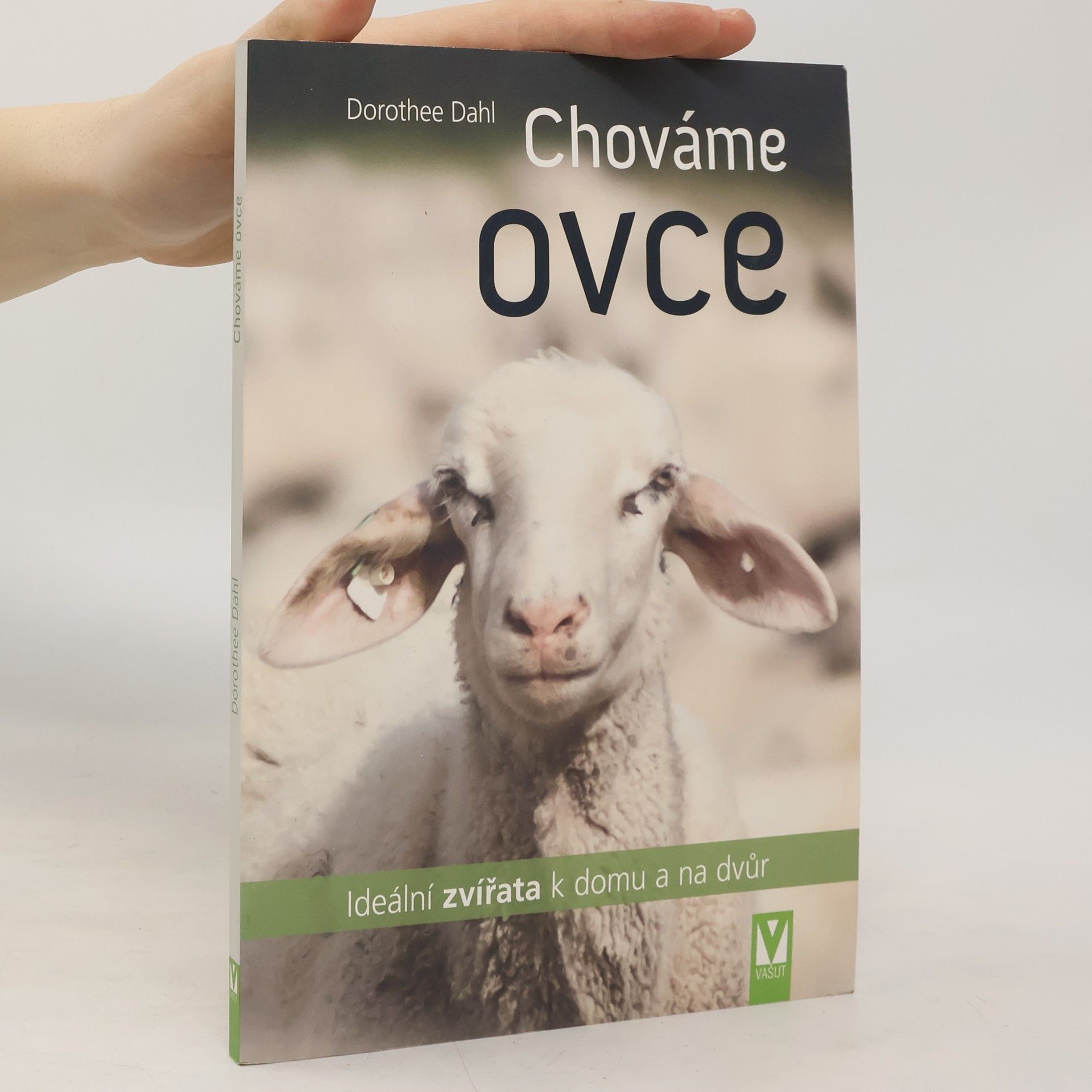 Dorothee Dahl Chováme ovce : ideální zvířata k domu a na dvůr