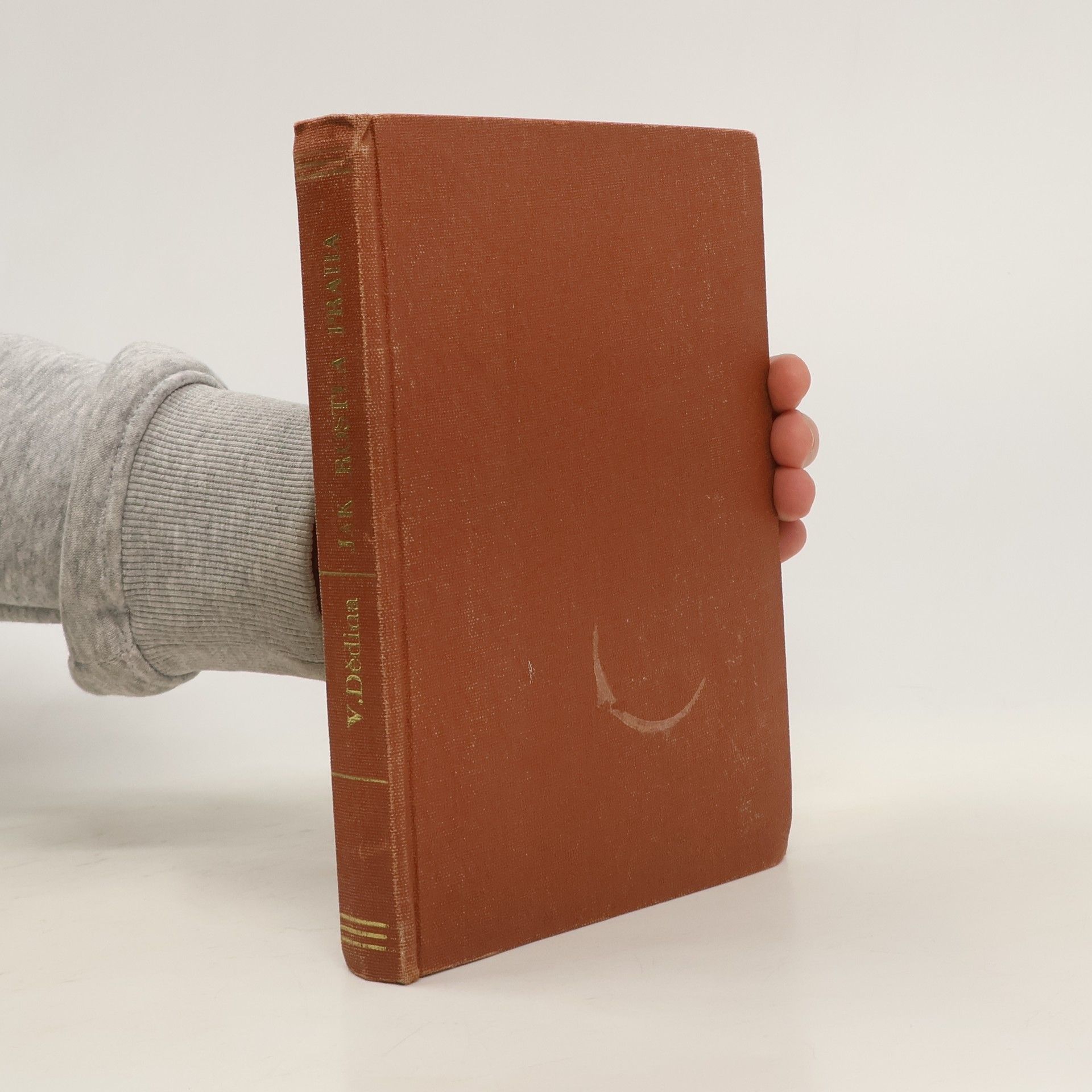 Jak rostla Praha. Díl 1.