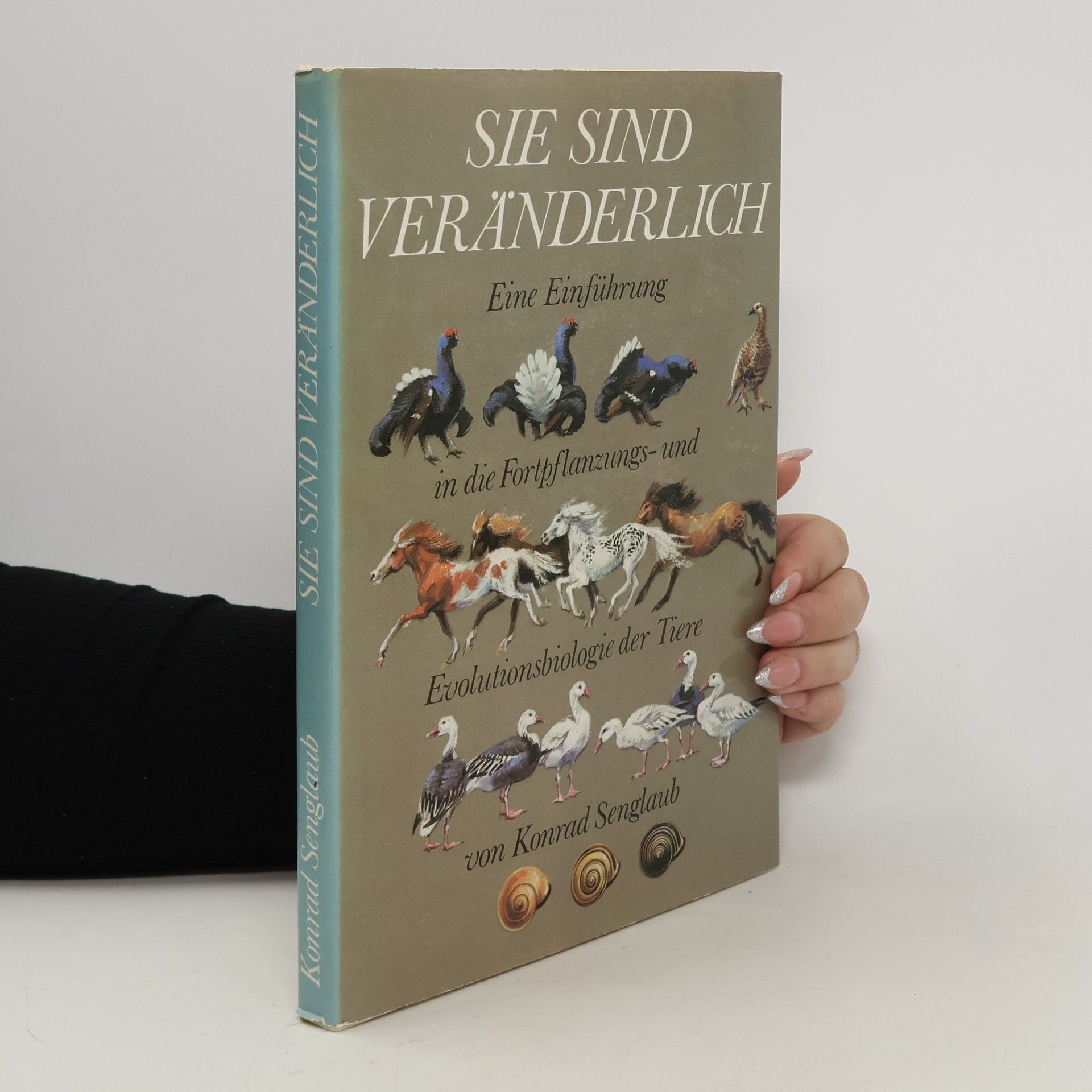 Konrad Senglaub Sie sind veränderlich