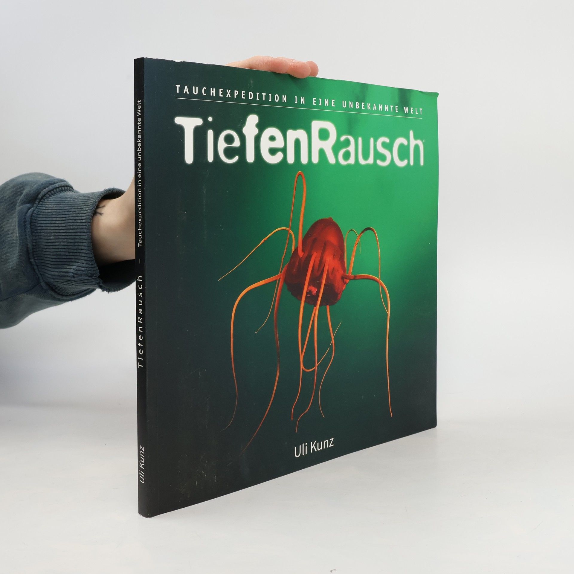 Uli Kunz TiefenRausch