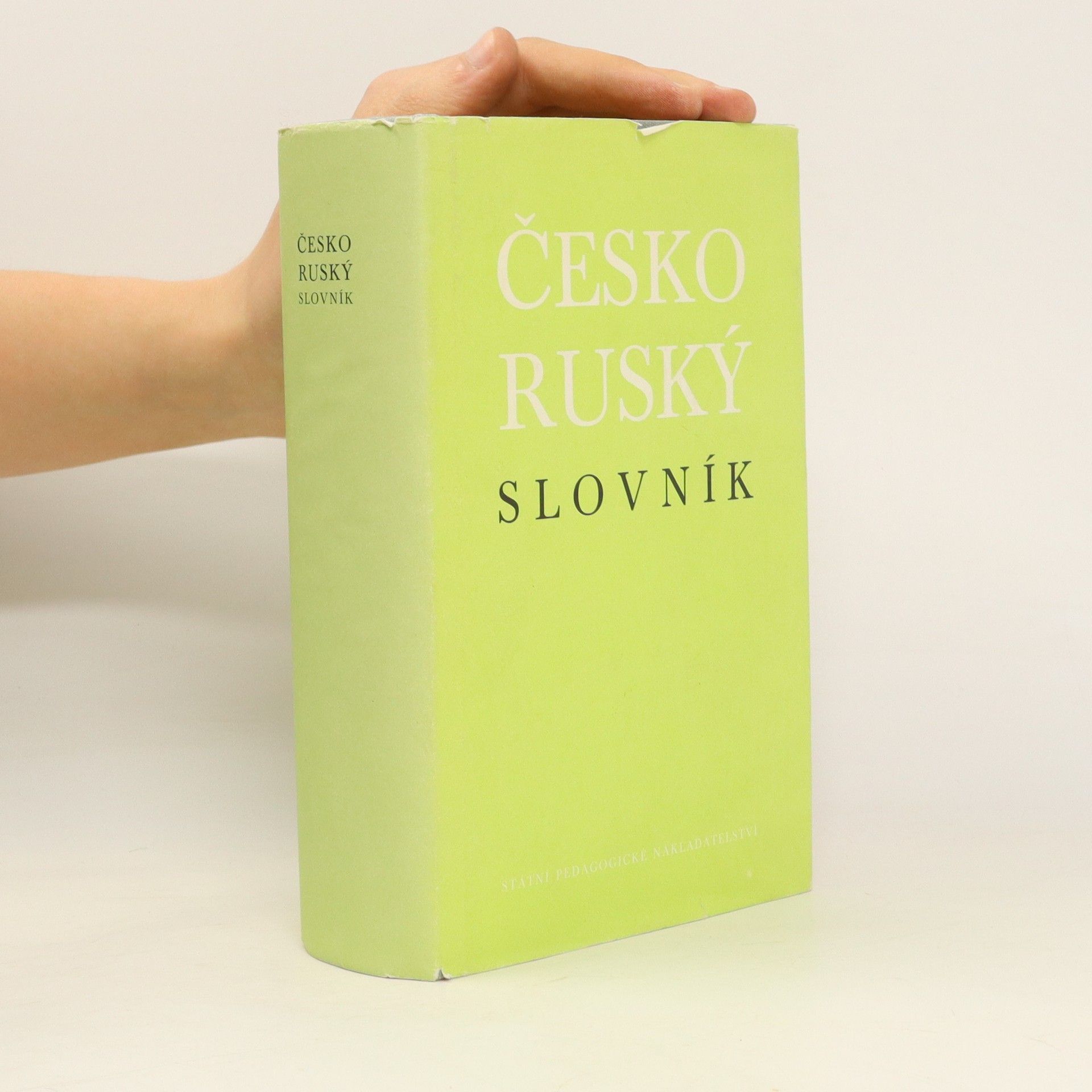 Collectif d'auteurs Česko-ruský slovník