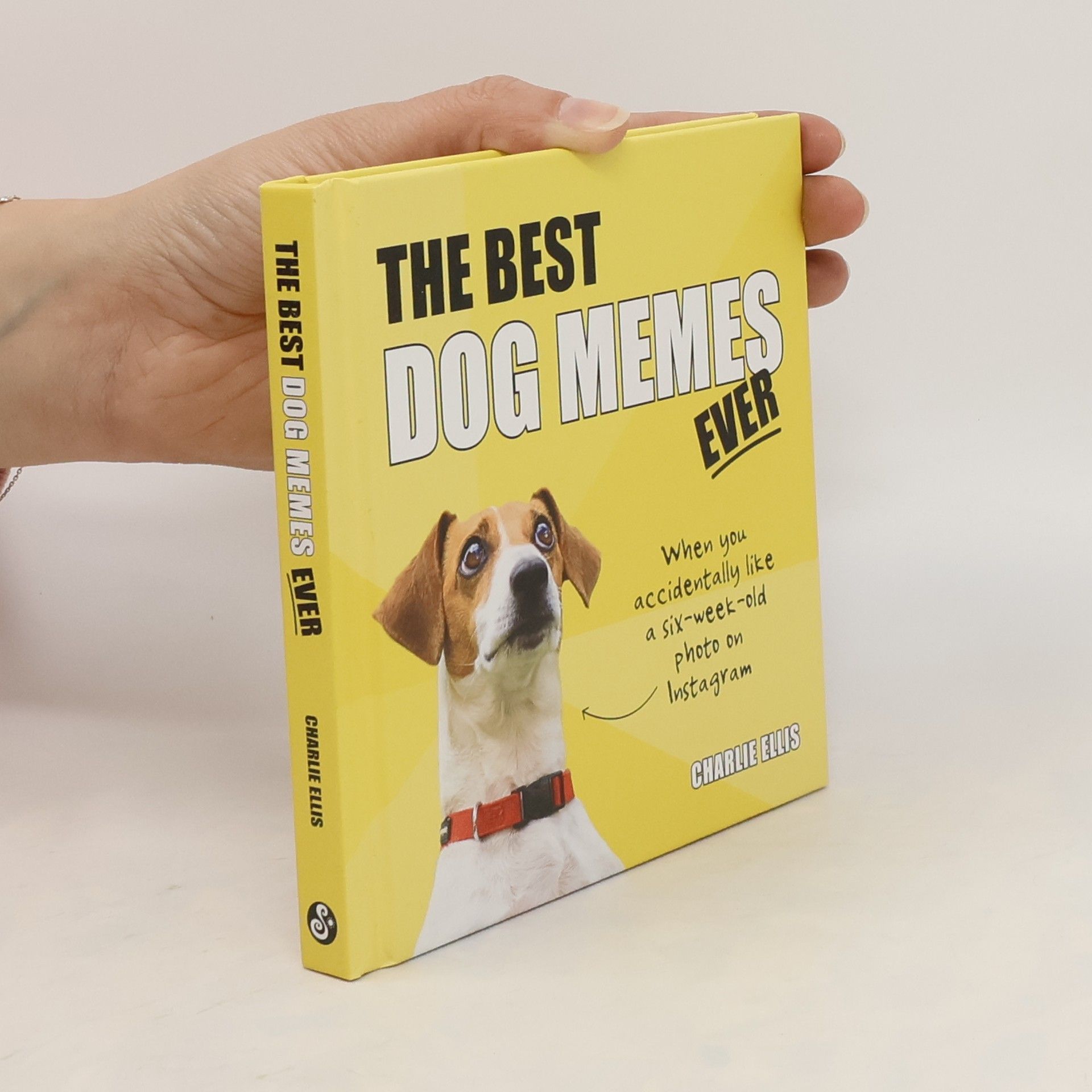 Charlie Ellis The Best Dog Memes Ever