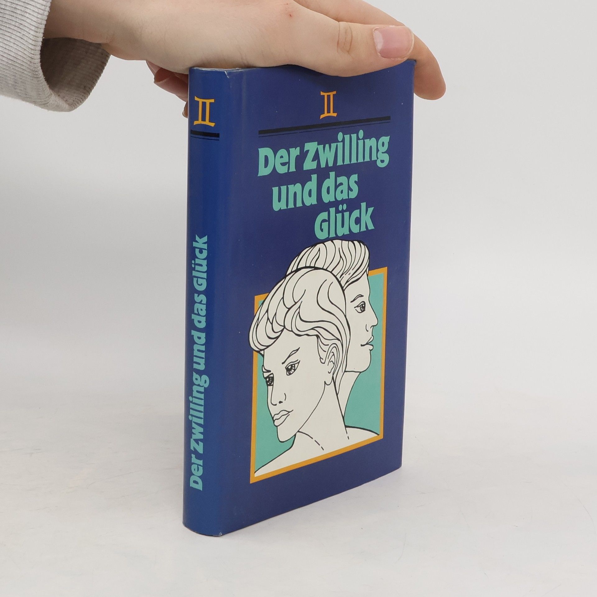 kolektiv Der Zwilling und das Glück