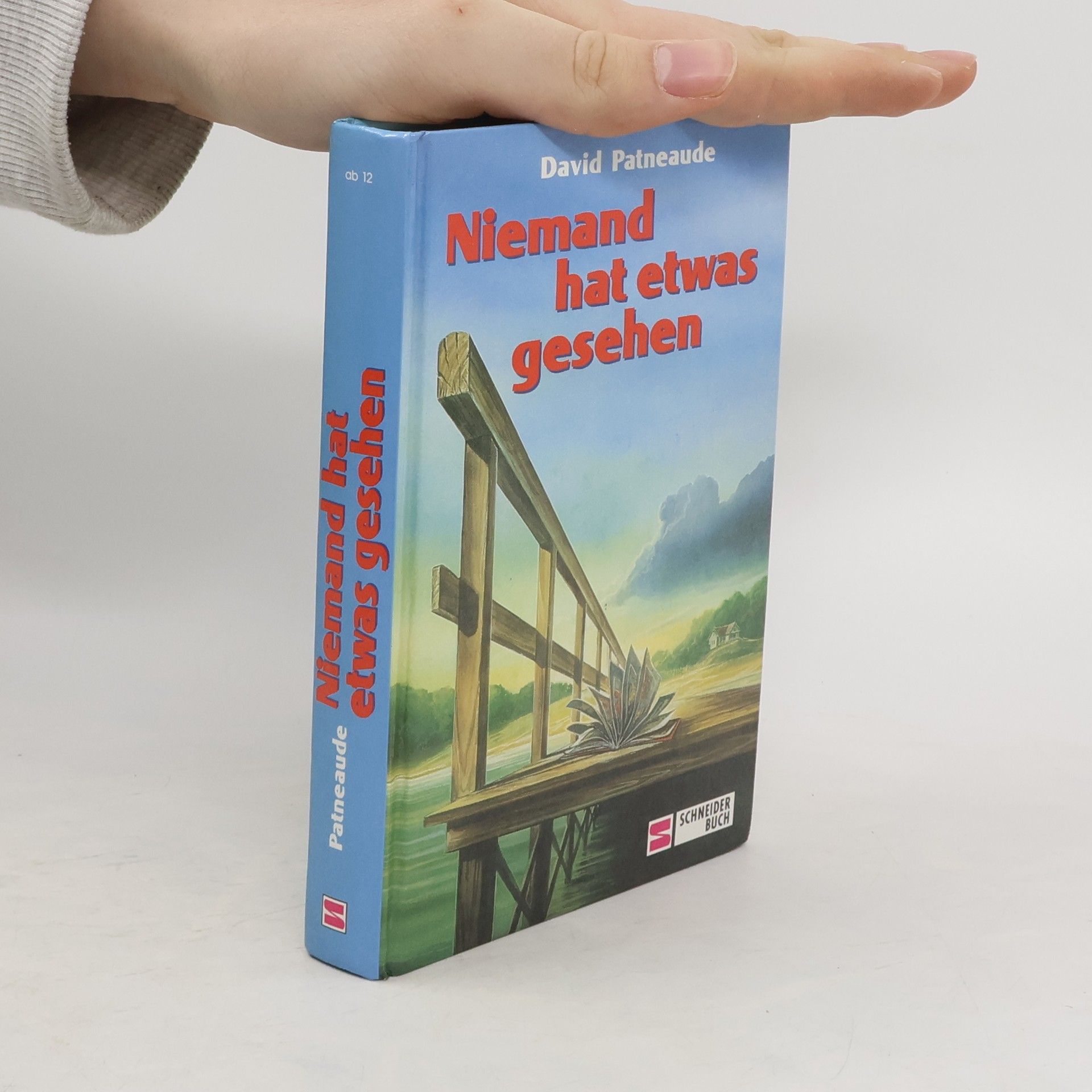 David Patneaude Niemand hat etwas gesehen