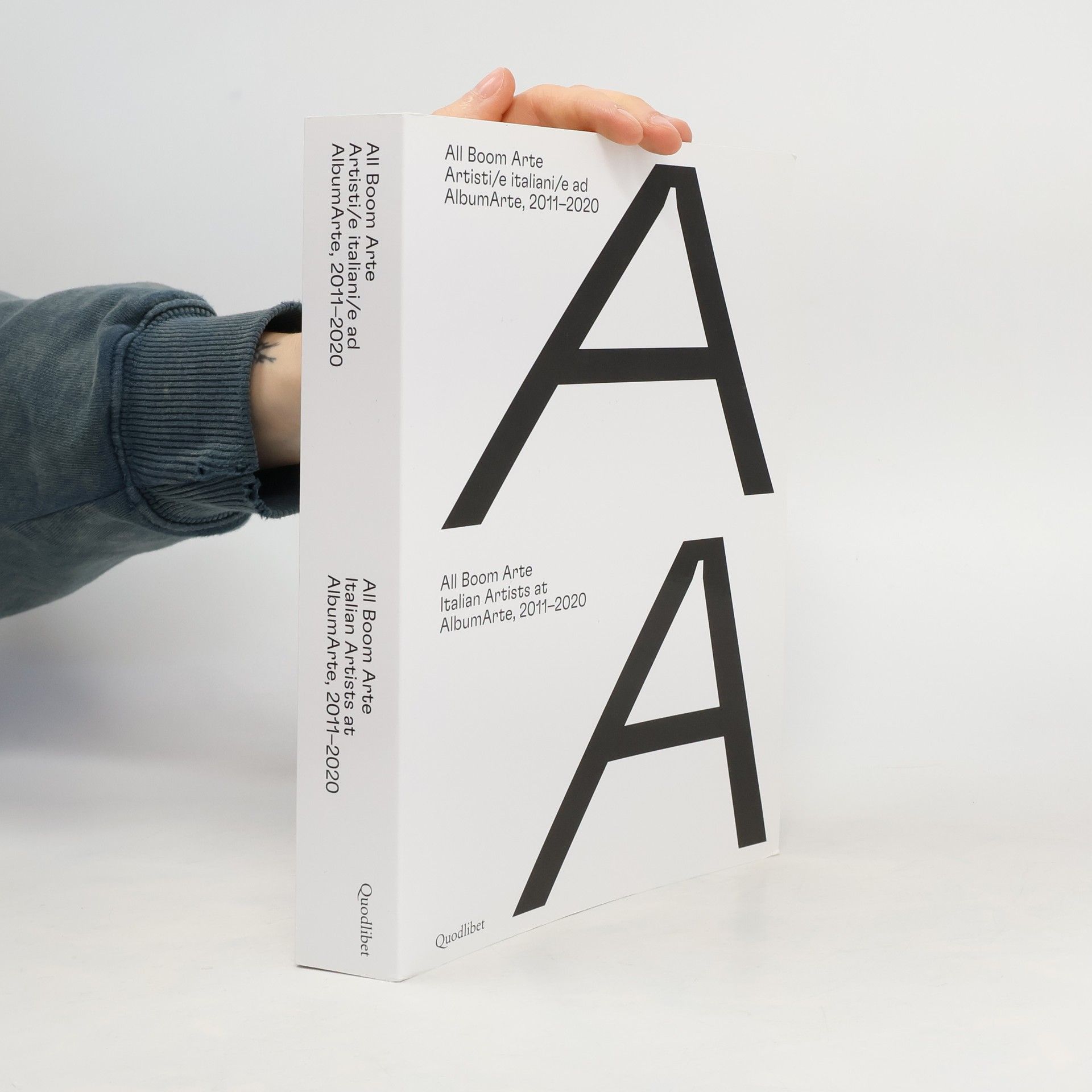 C. Cobianchi All Boom Arte. Artisti/e italiani/e ad AlbumArte, 2011-2020