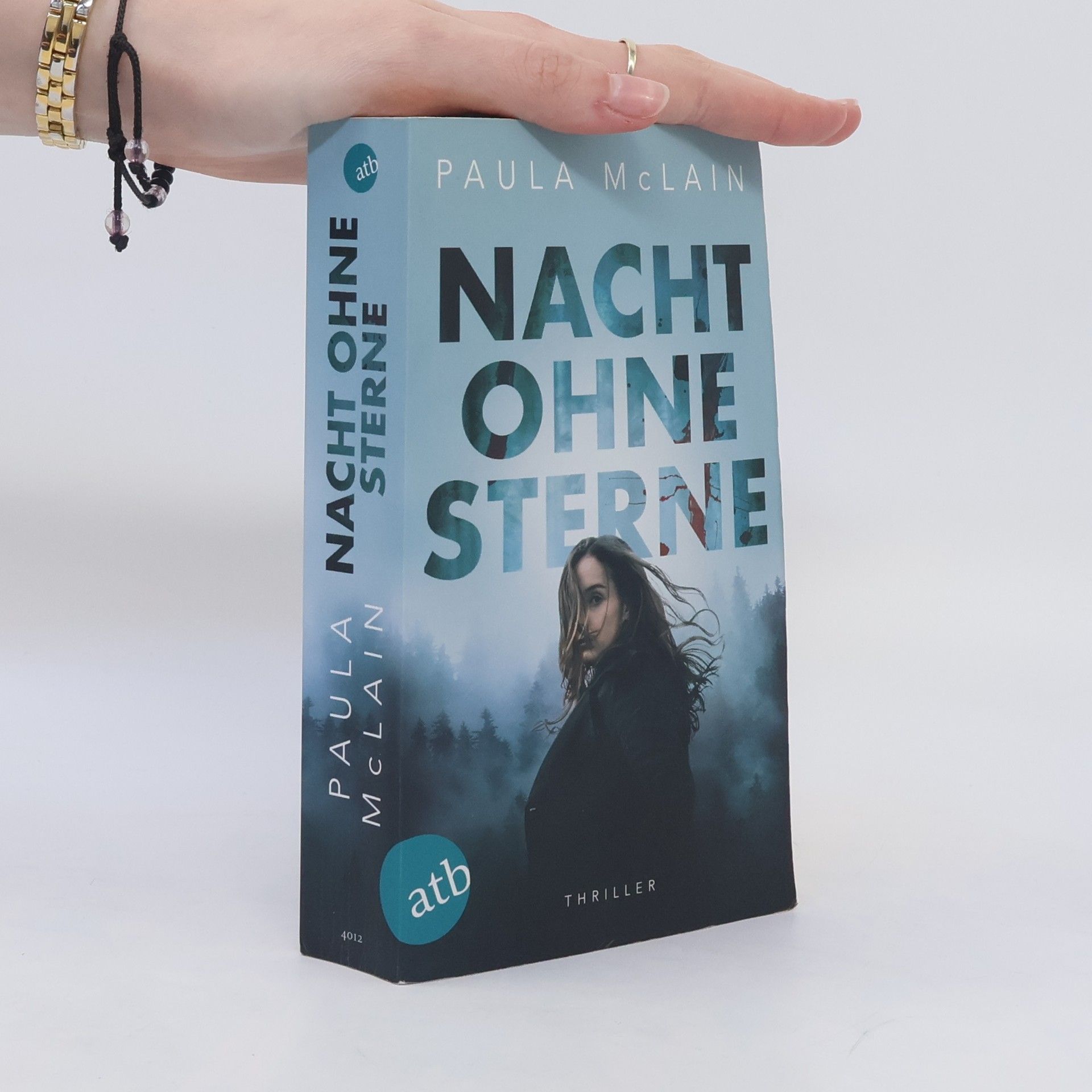 Paula McLain Nacht ohne Sterne