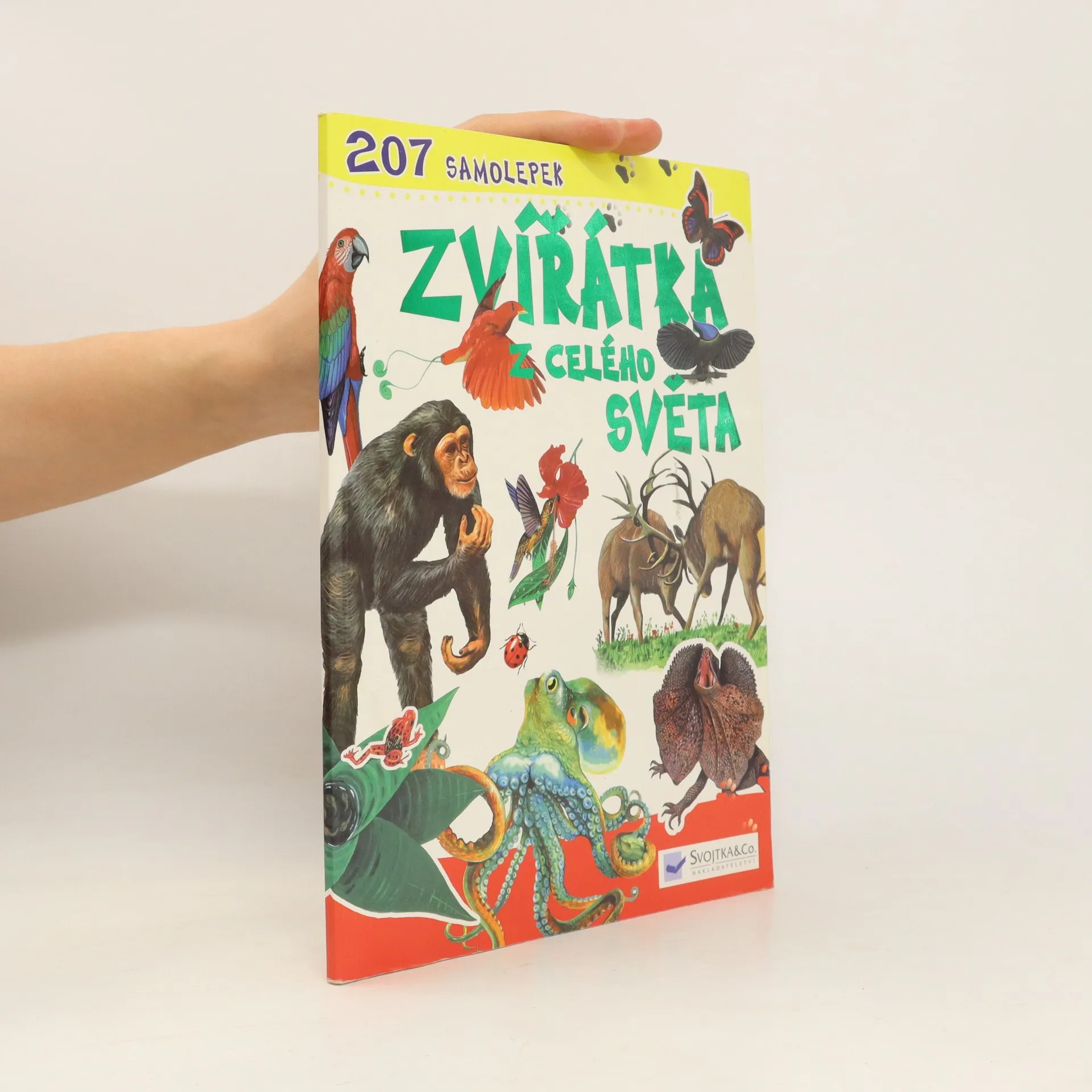 Zvířátka z celého světa | Kniha | kolektiv | CS