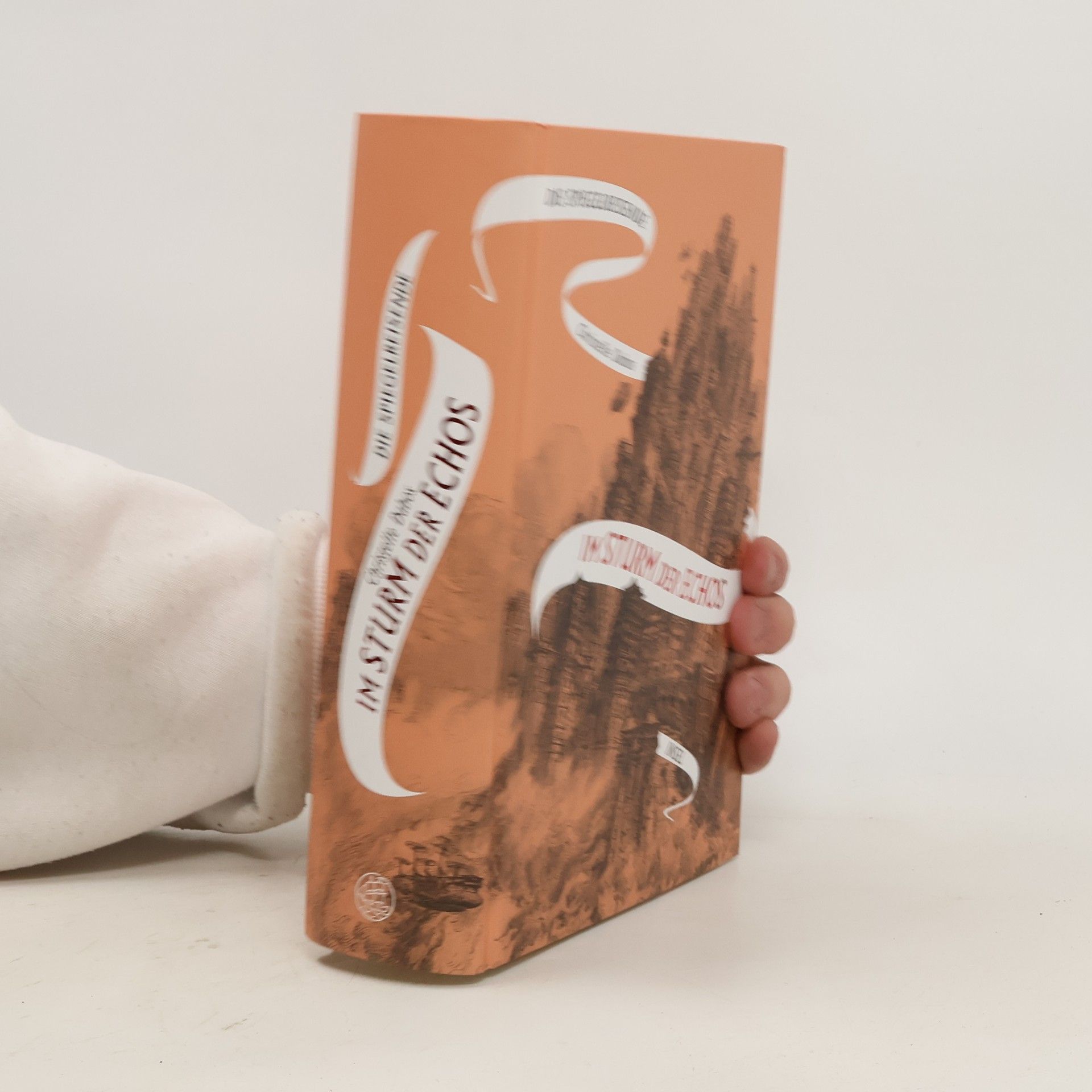 Christelle Dabos Im Sturm der Echos