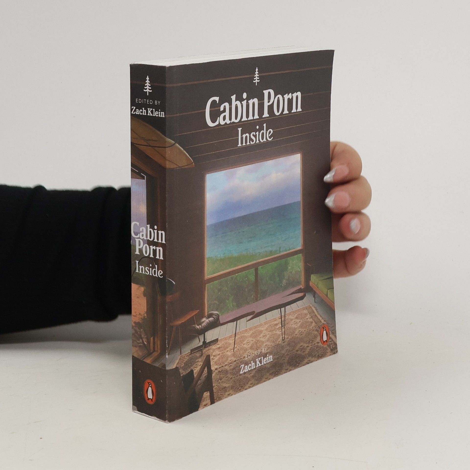 Zach Klein Cabin Porn: Inside