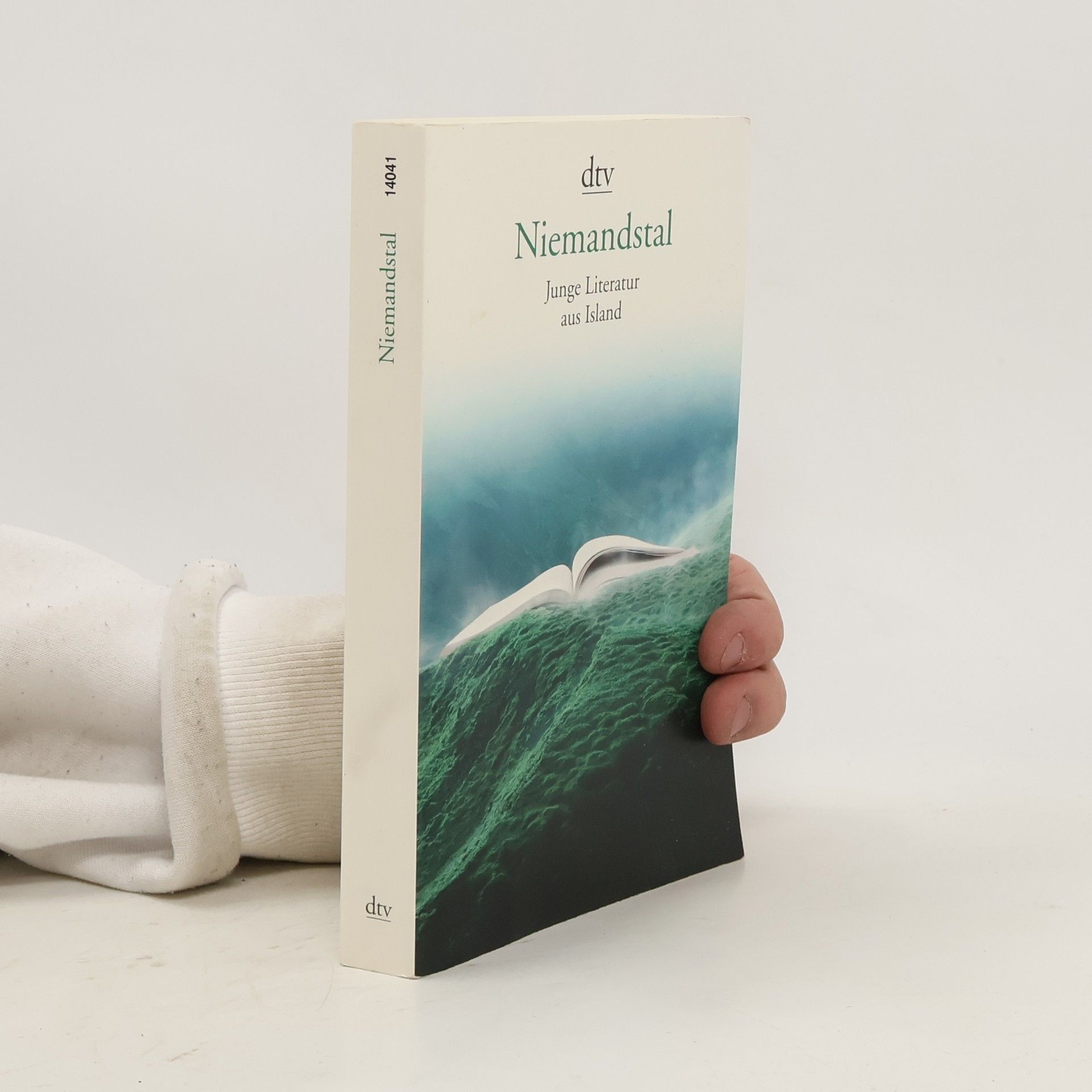 Ursula Giger Niemandstal