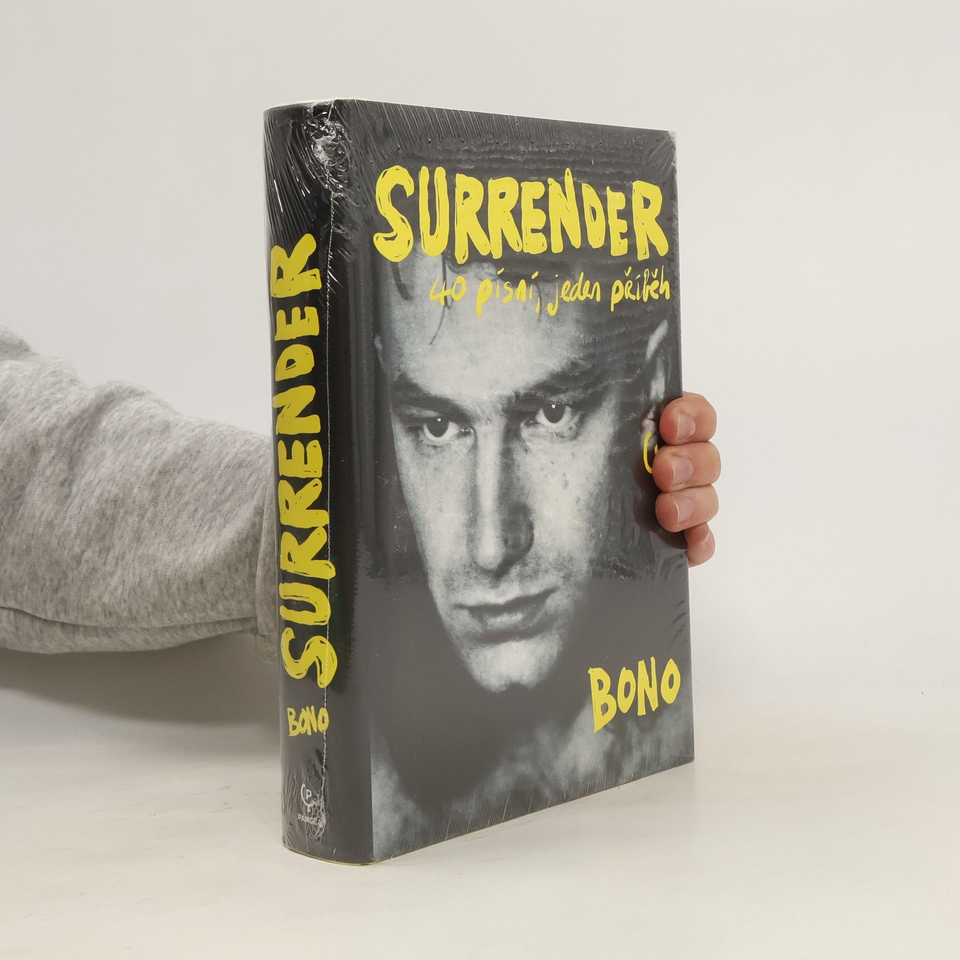 Bono Surrender : 40 písní, jeden příběh