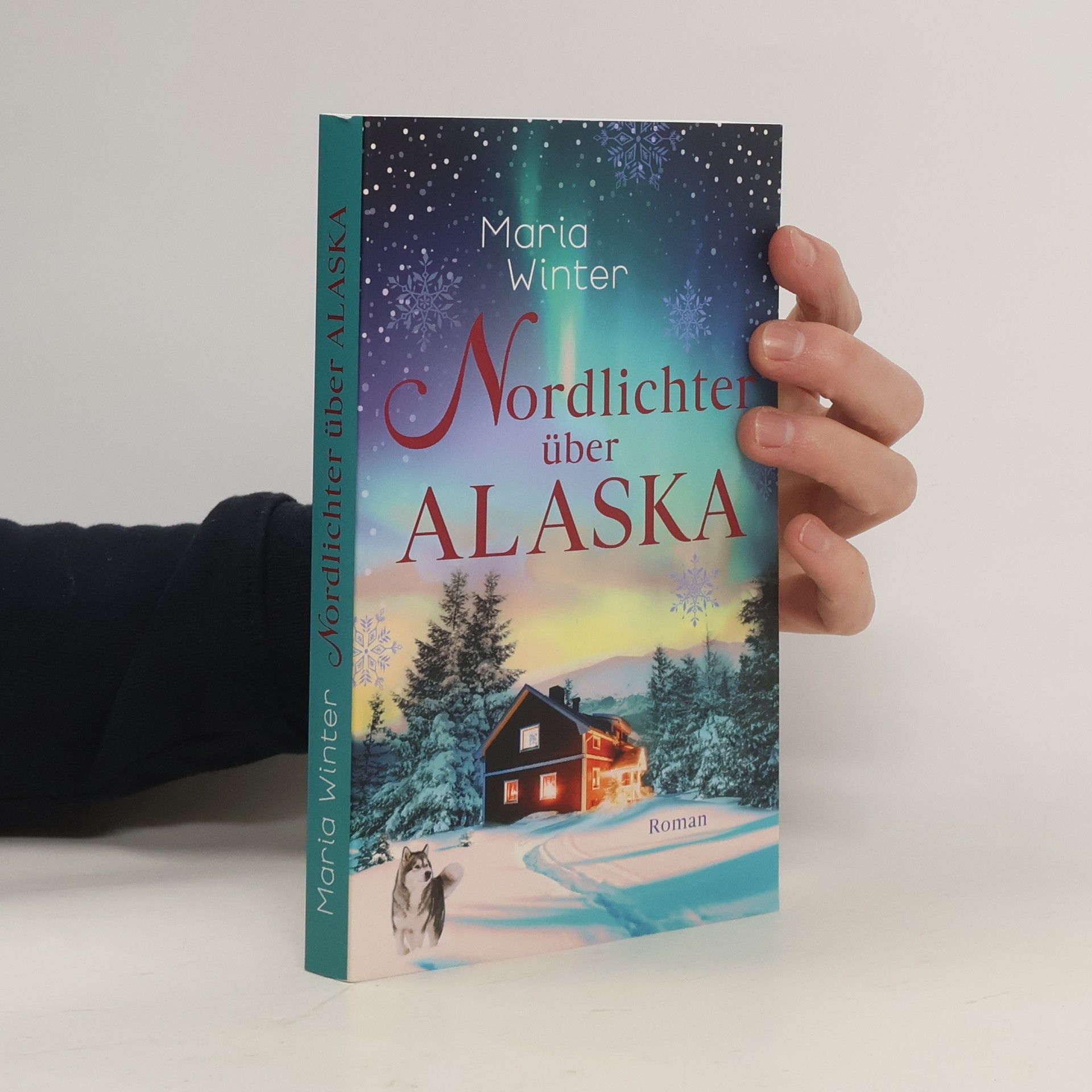Maria Winter Nordlichter über Alaska