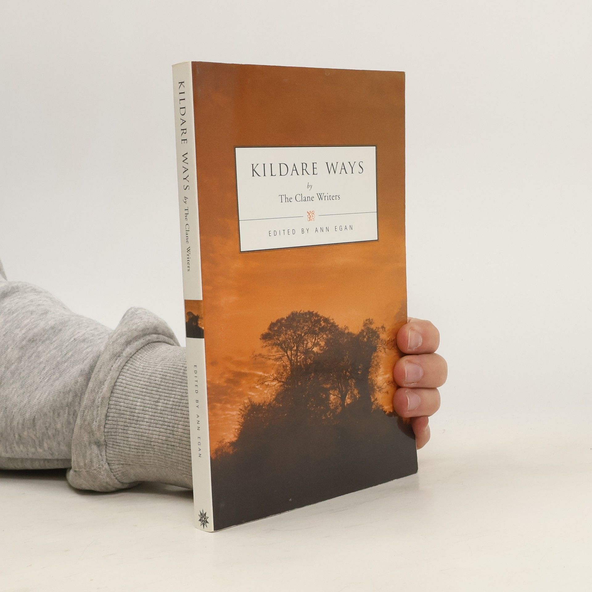 AA.VV. Kildare Ways
