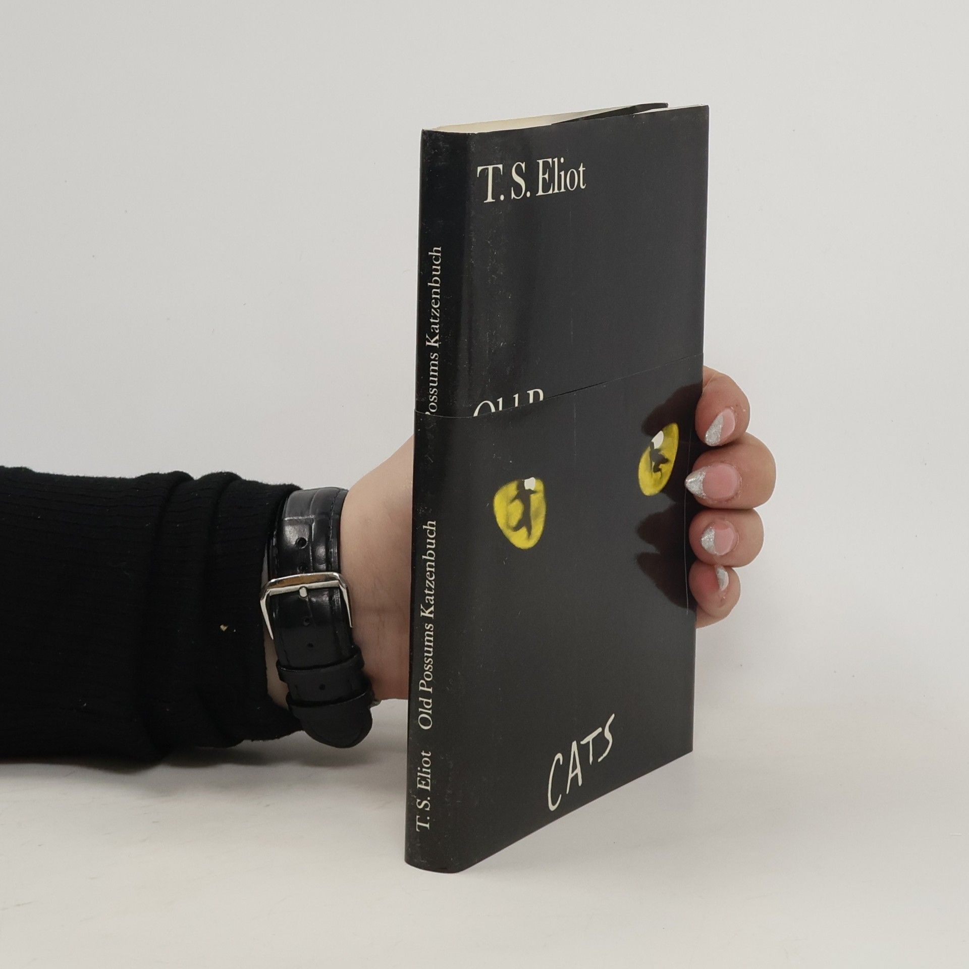T. S. Eliot Old Possums Katzenbuch. Cats