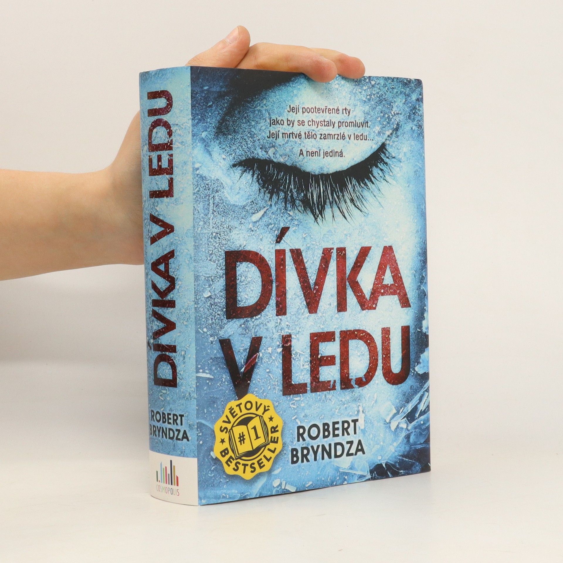 Robert Bryndza Dívka v ledu