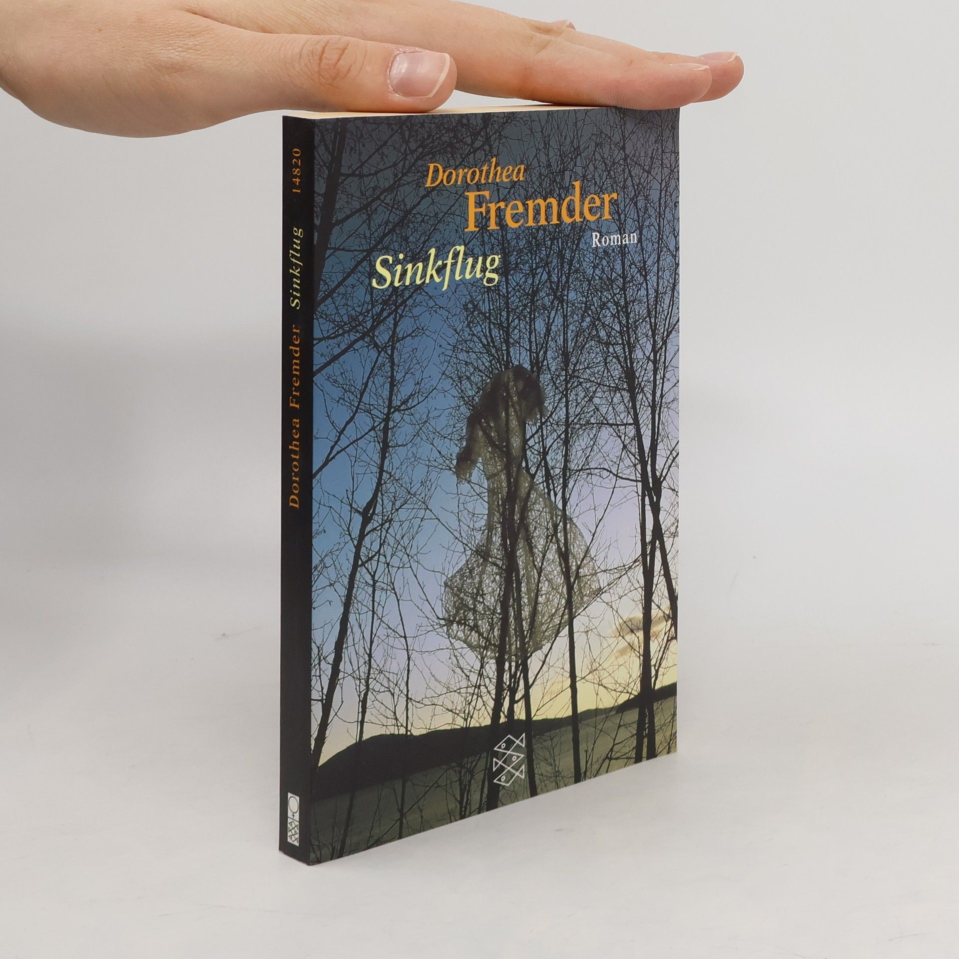 Dorothea Fremder Sinkflug