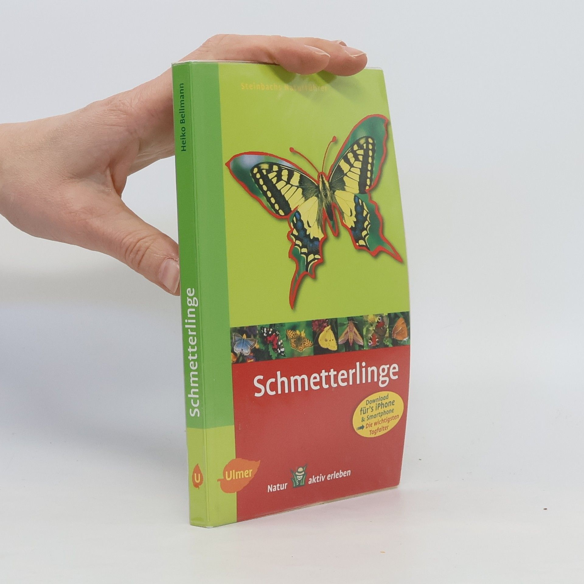 Heiko Bellmann Schmetterlinge entdecken und erkennen