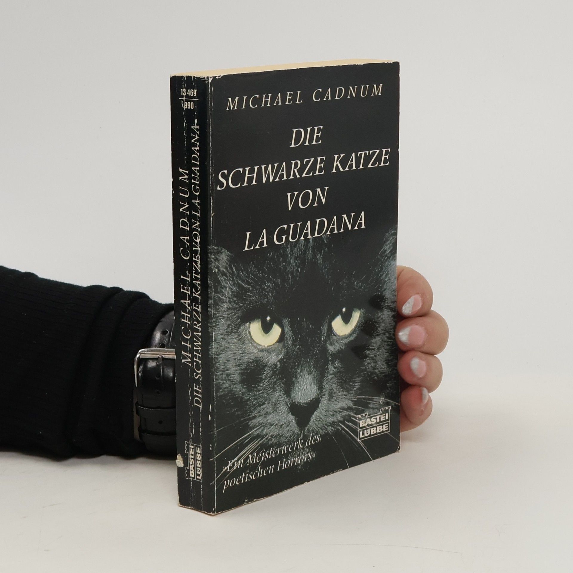 Michael Cadnum Die schwarze Katze von La Guadana. Horror-Roman