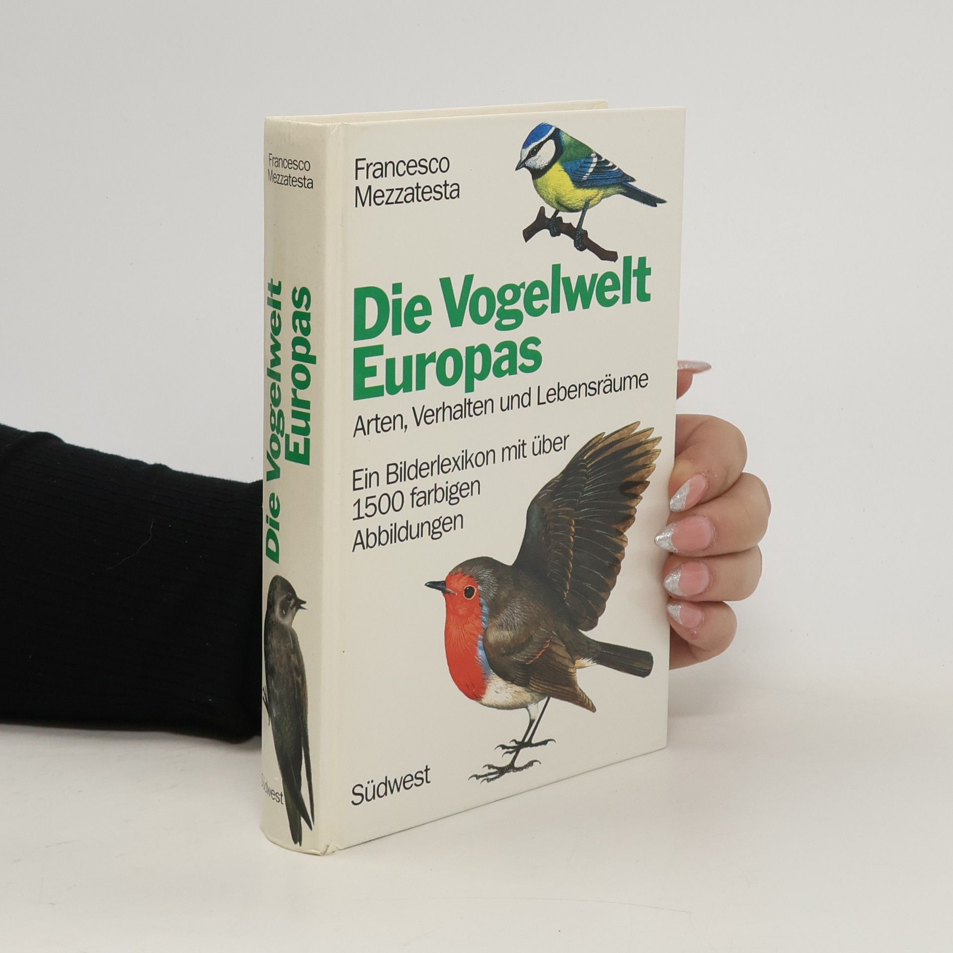 Francesco Mezzatesta Die Vogelwelt Europas