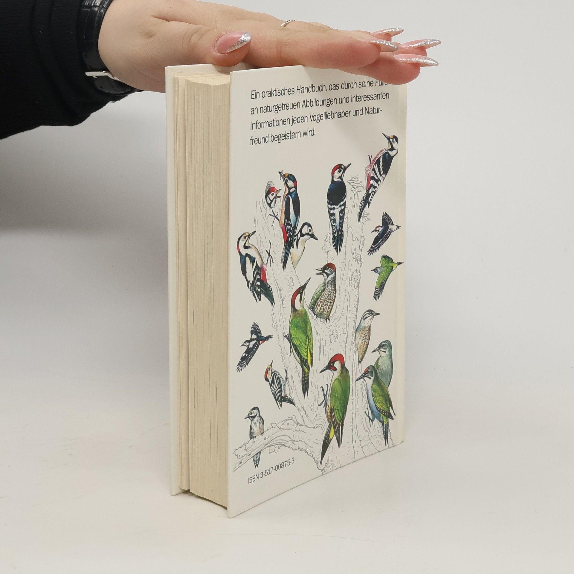 Francesco Mezzatesta Die Vogelwelt Europas