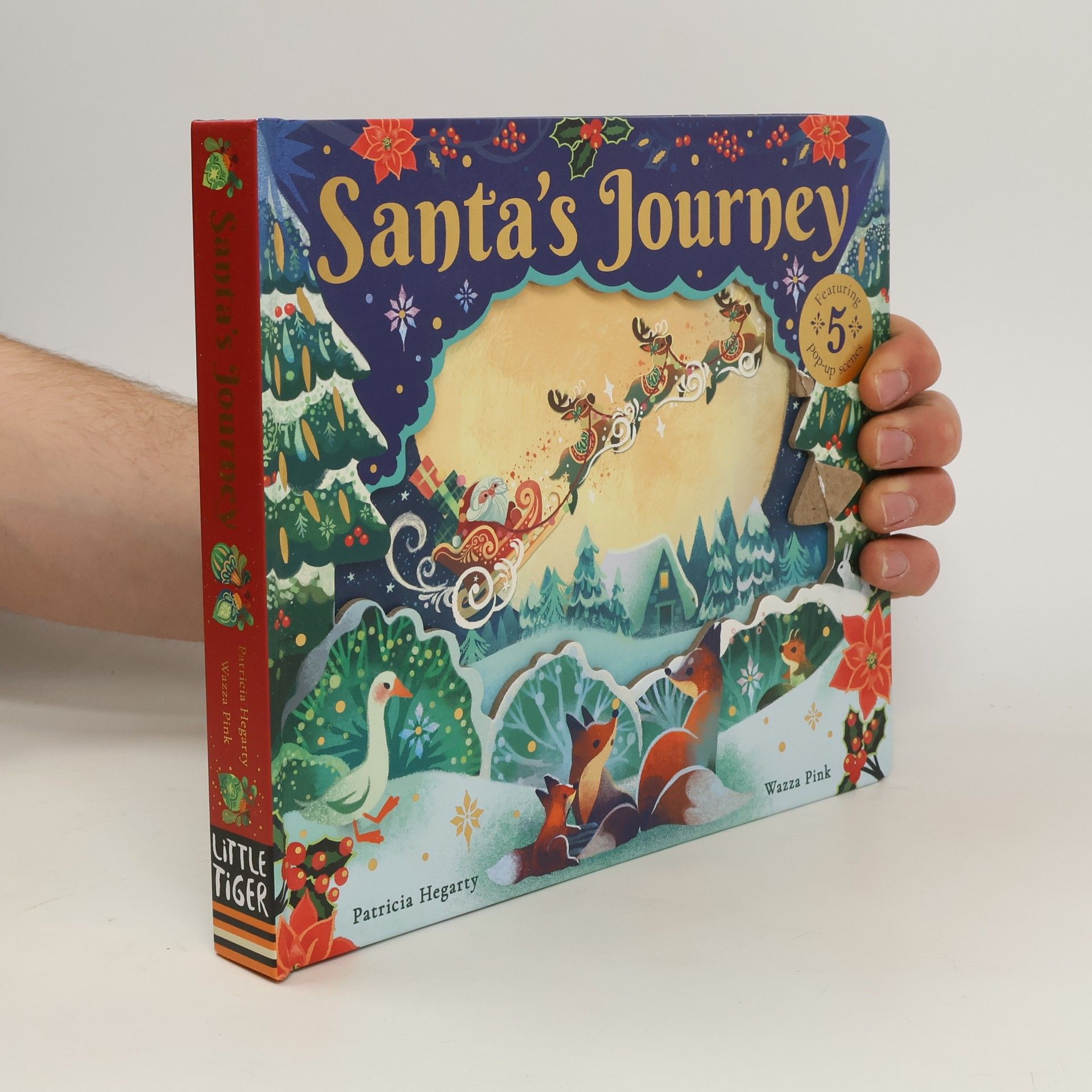 Patricia Hegarty Santa's Journey