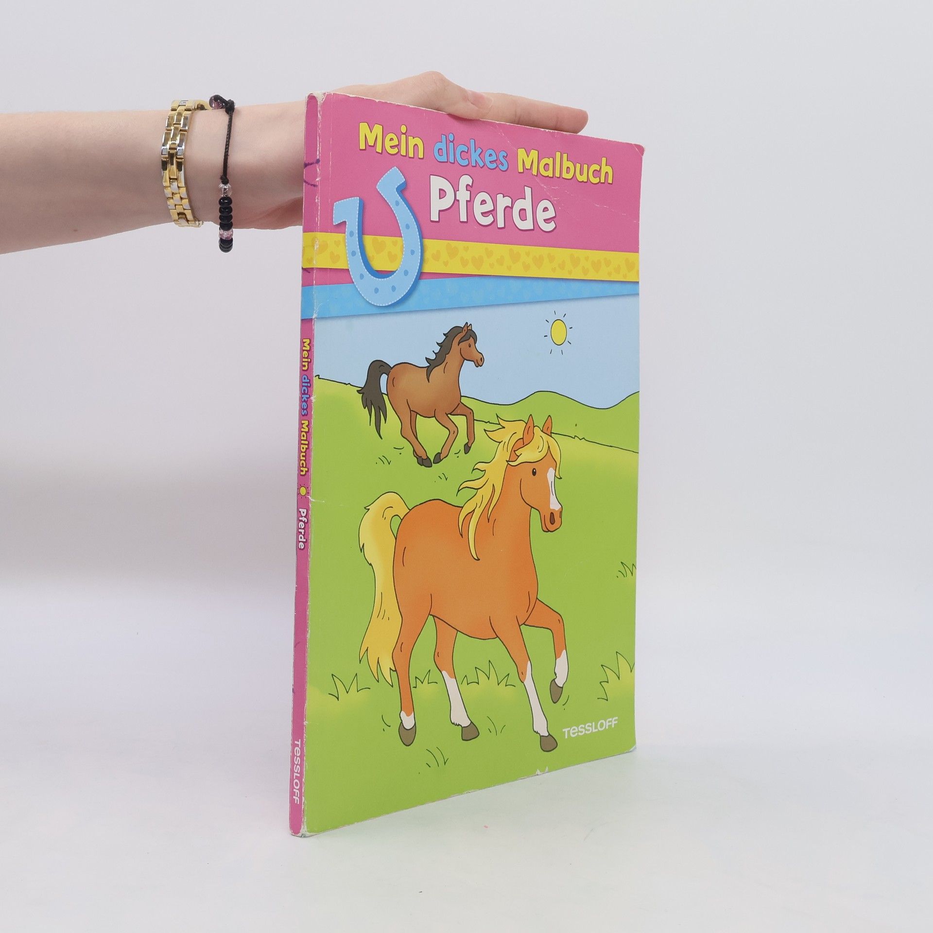 Corina Beurenmeister Mein dickes Malbuch. Pferde