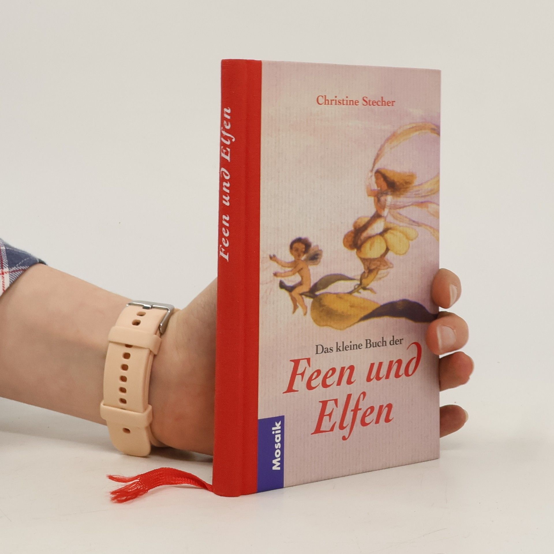 Stecher Christine Das kleine Buch der Feen und Elfen