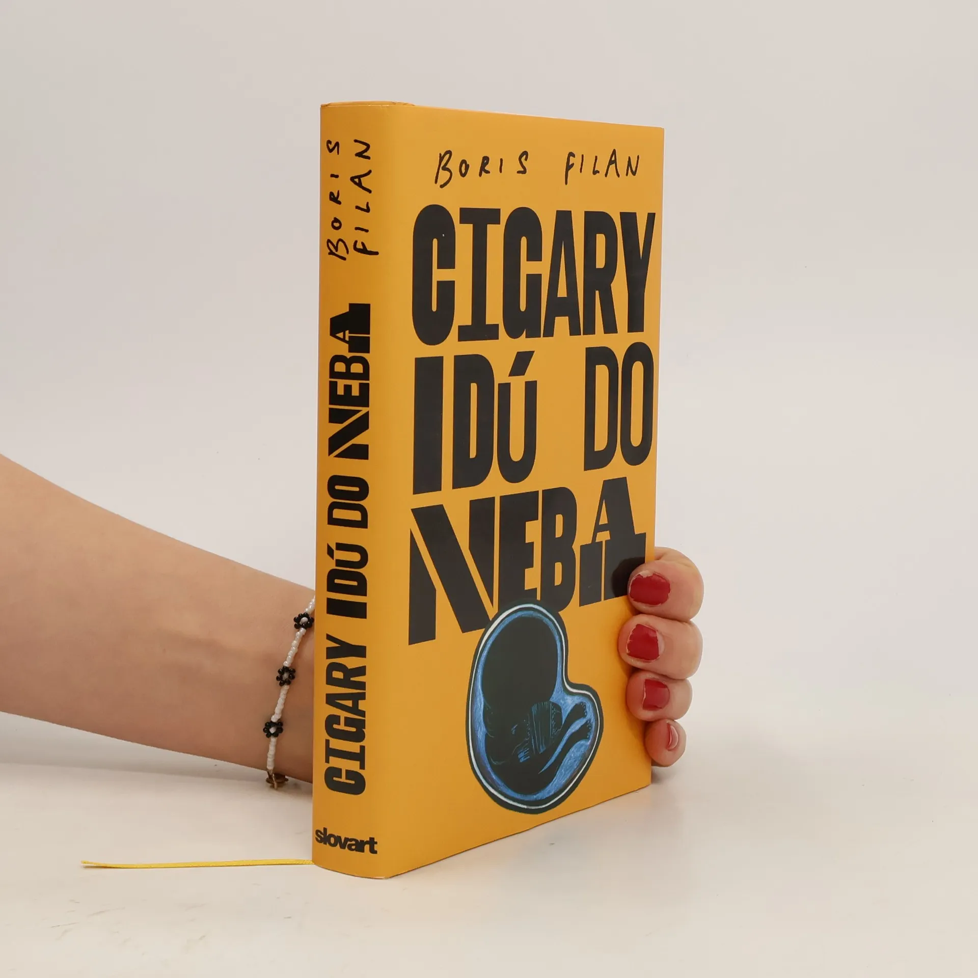 Cigary idú do neba | Kniha | Boris Filan