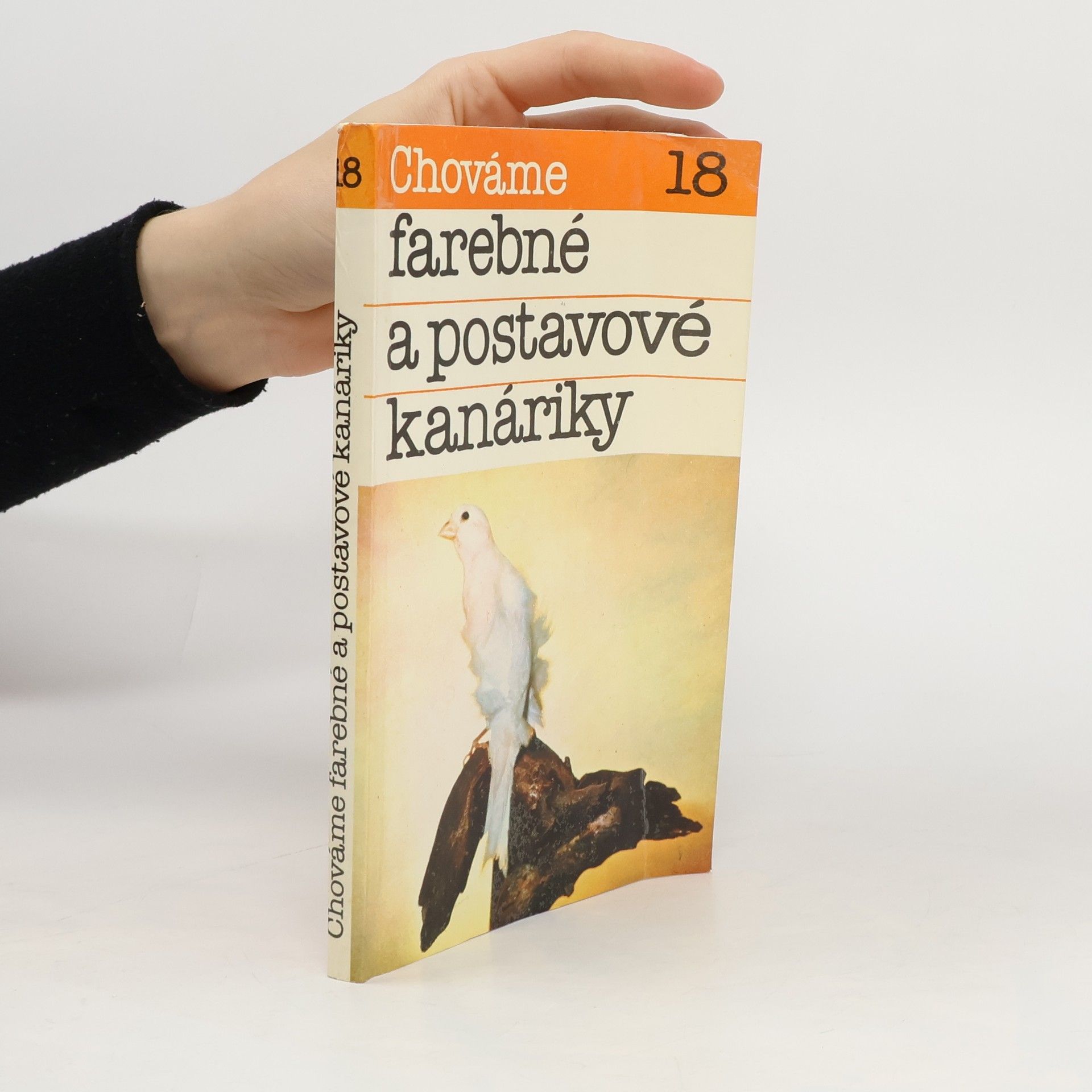 Bystrík Ambruš Chováme farebné a postavové kanáriky