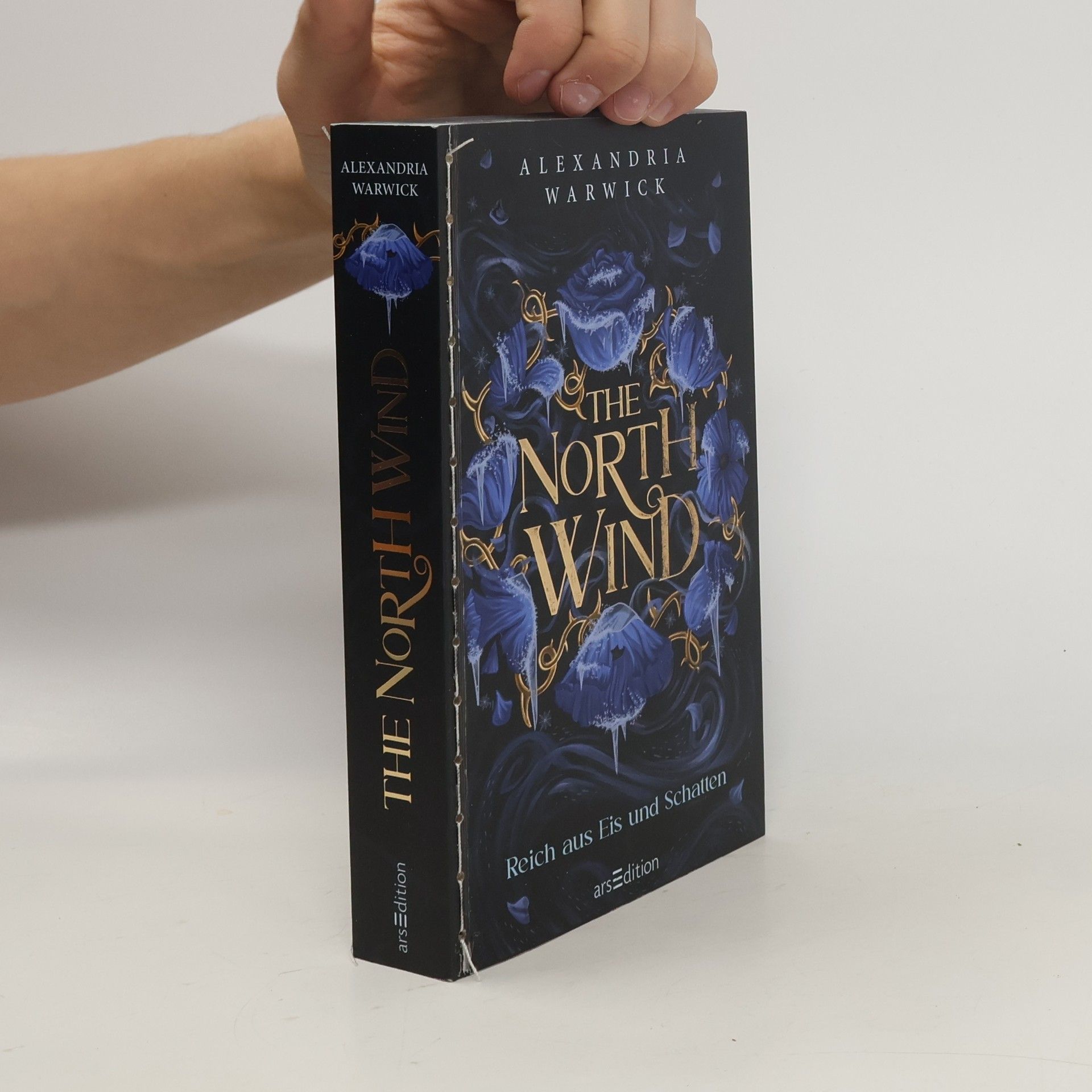 Alexandria Warwick The North Wind - Reich aus Eis und Schatten