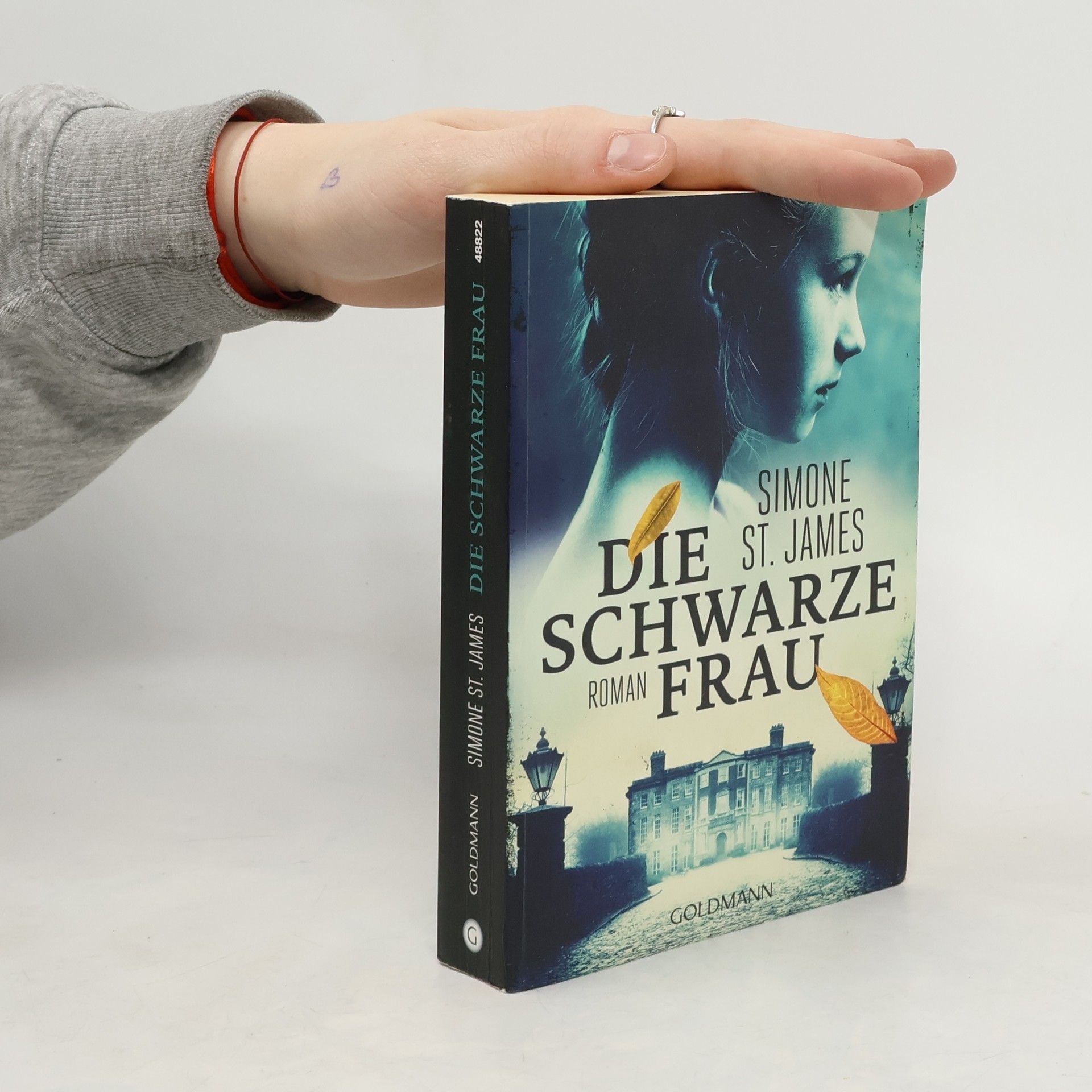Simone St. James Die schwarze Frau