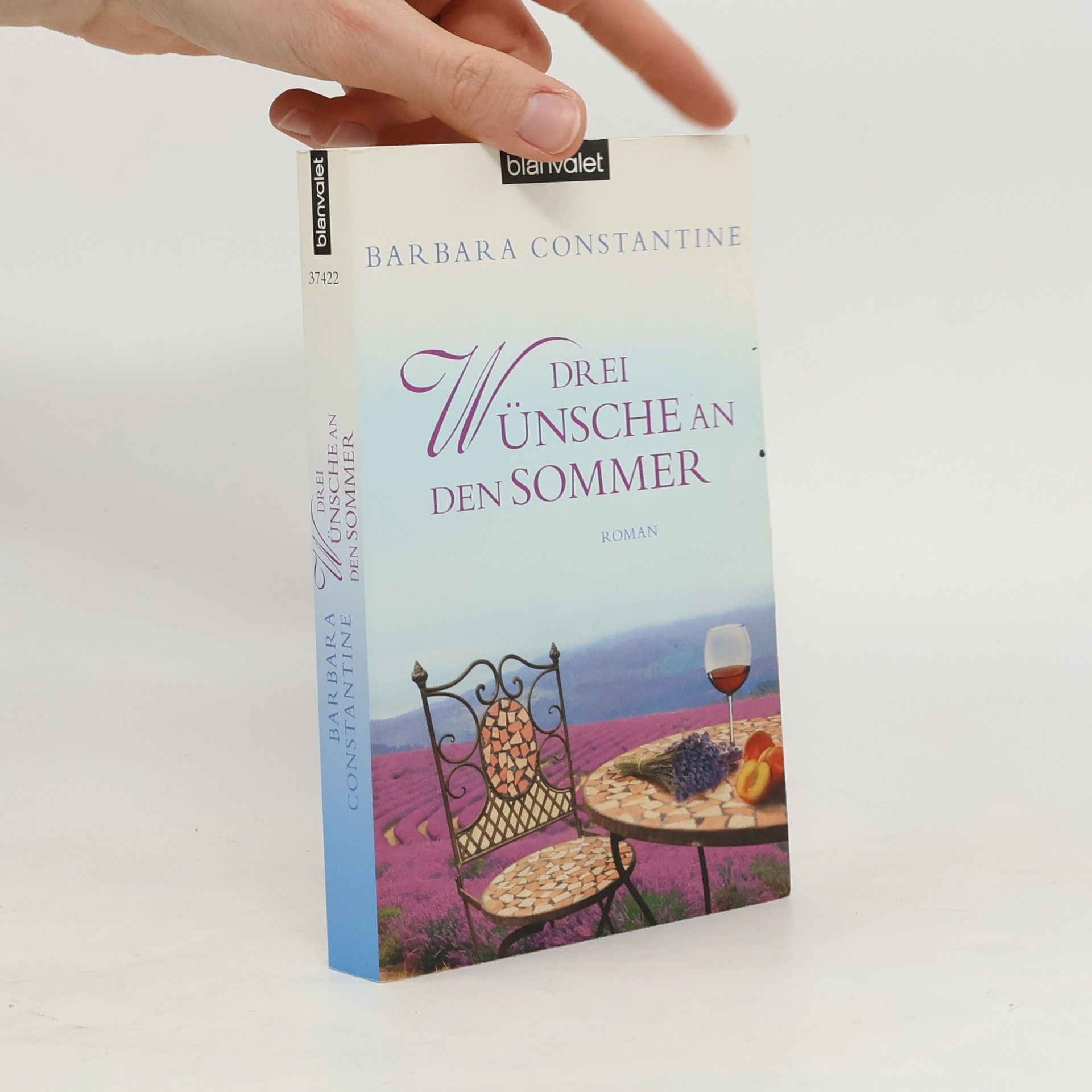 Barbara Constantine Drei Wünsche an den Sommer