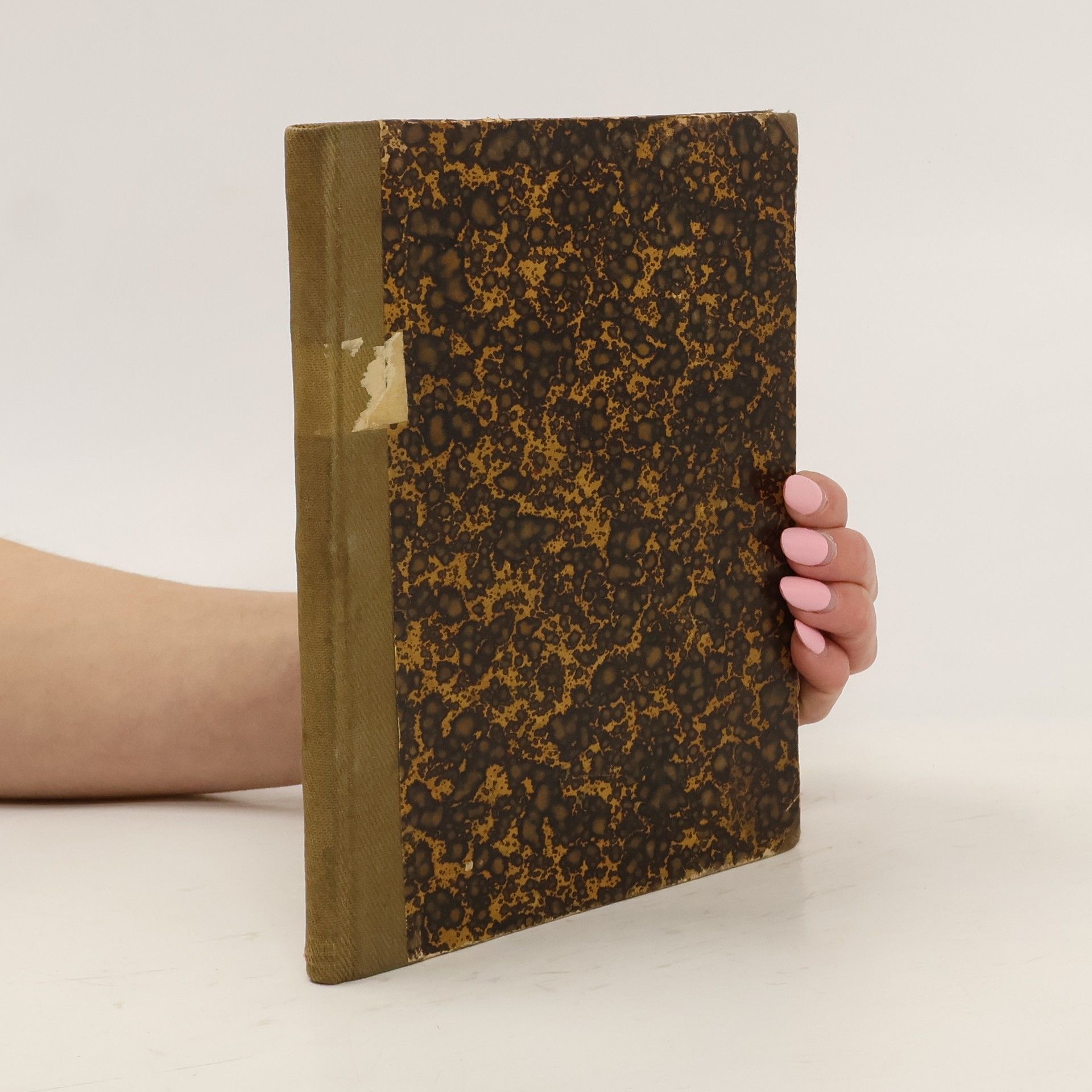 Autorenkollektiv Песнь о Нибелунгах