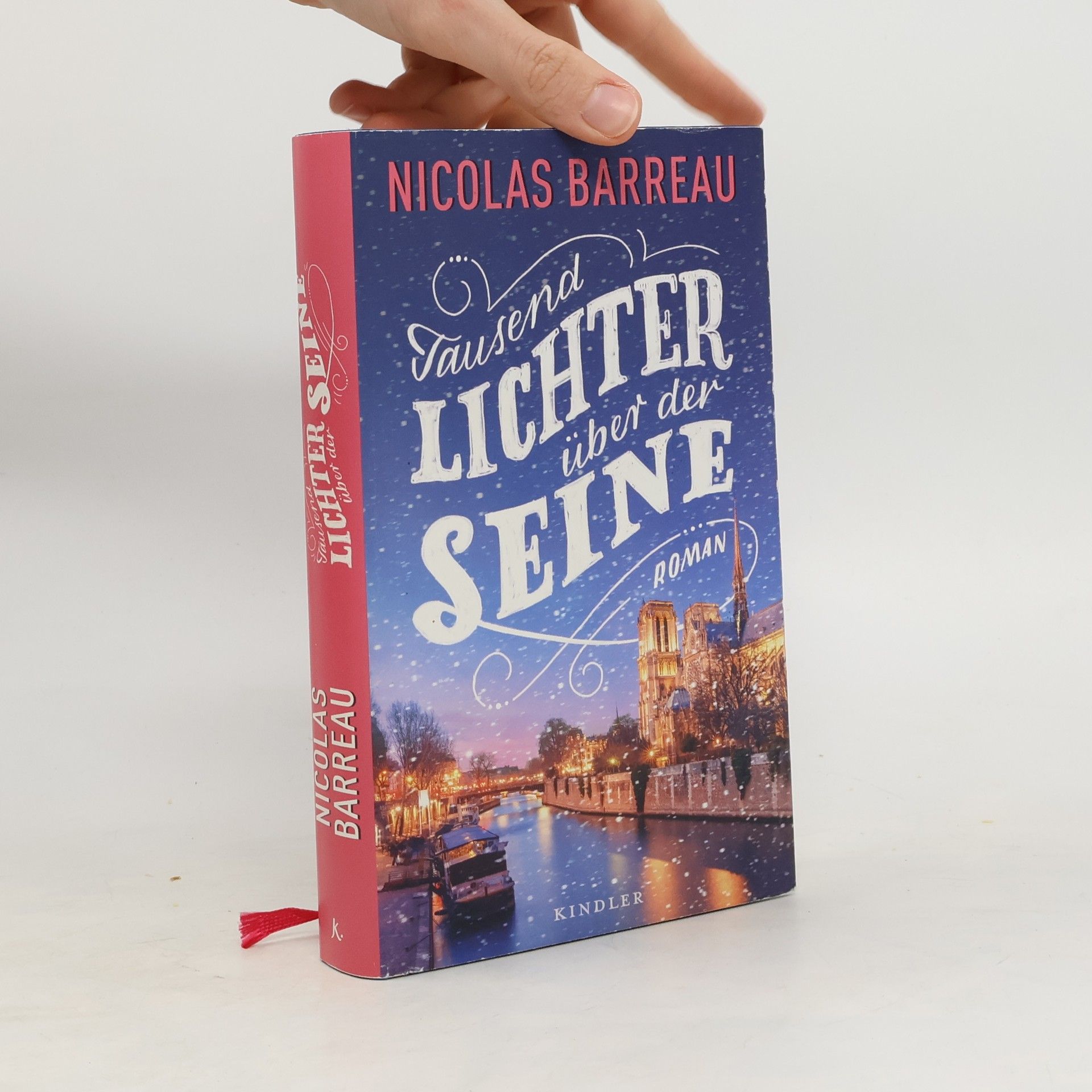 Nicolas Barreau Tausend Lichter über der Seine