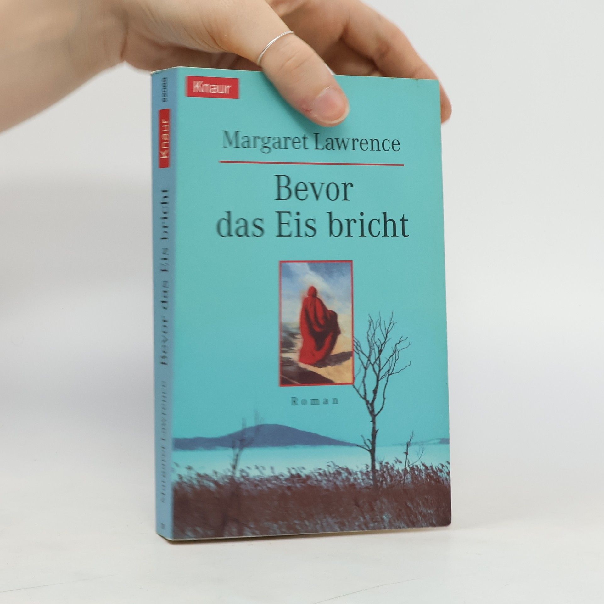 Margaret Lawrence Bevor das Eis bricht