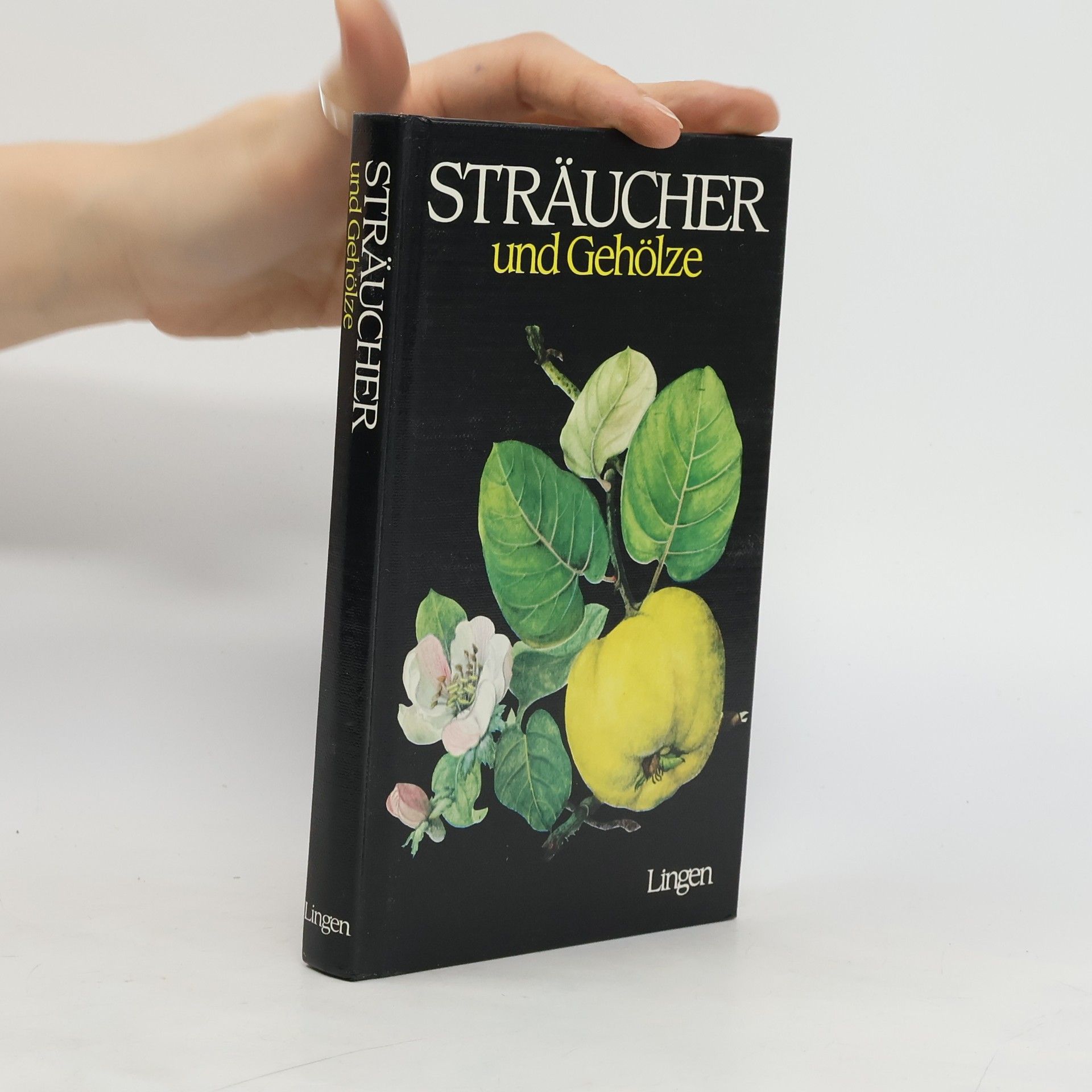 AA.VV. Sträucher und Gehölze