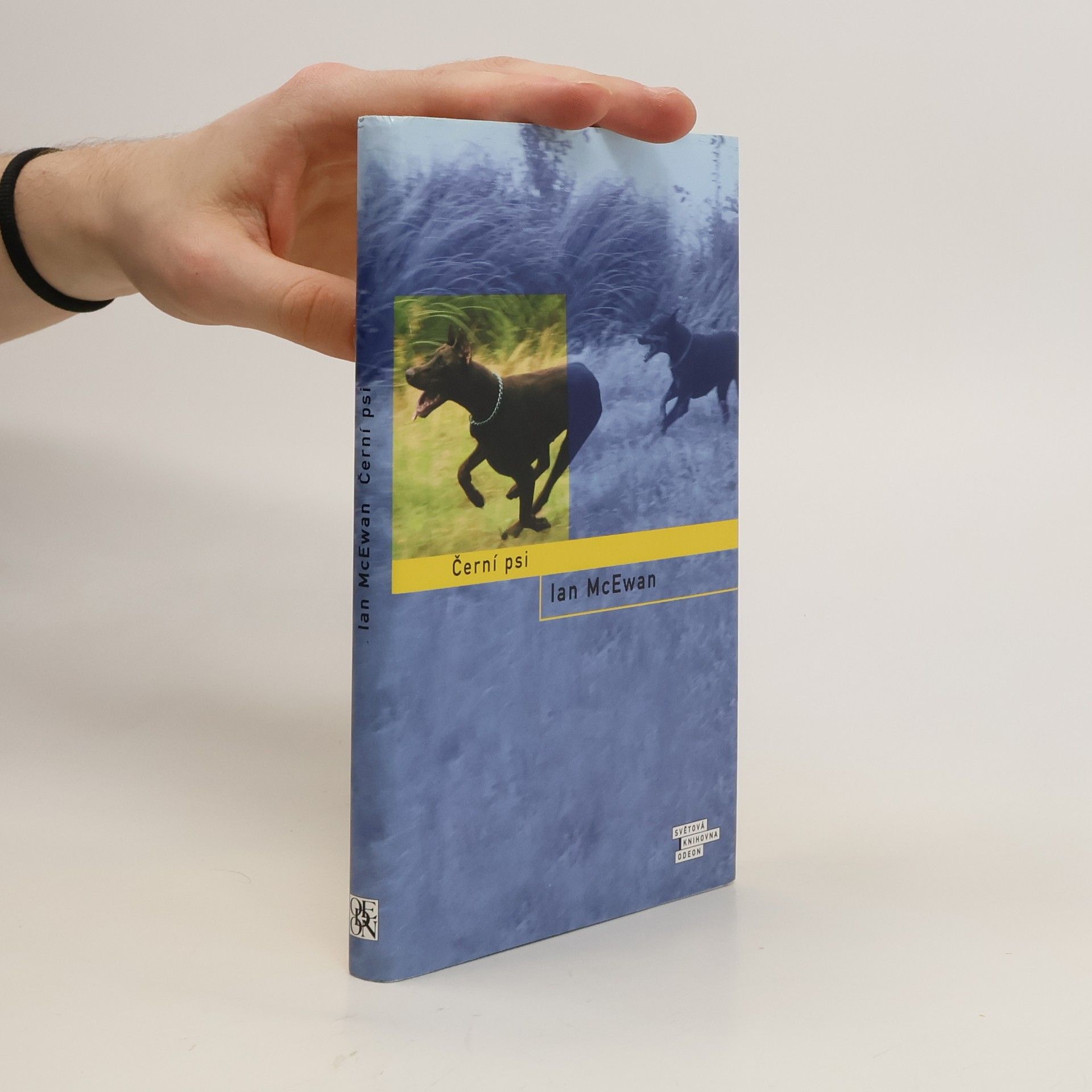 Ian McEwan Černí psi