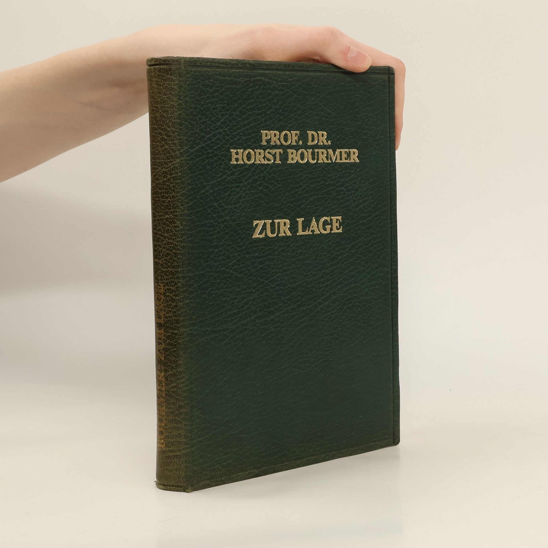 Horst Bourmer Zur Lage
