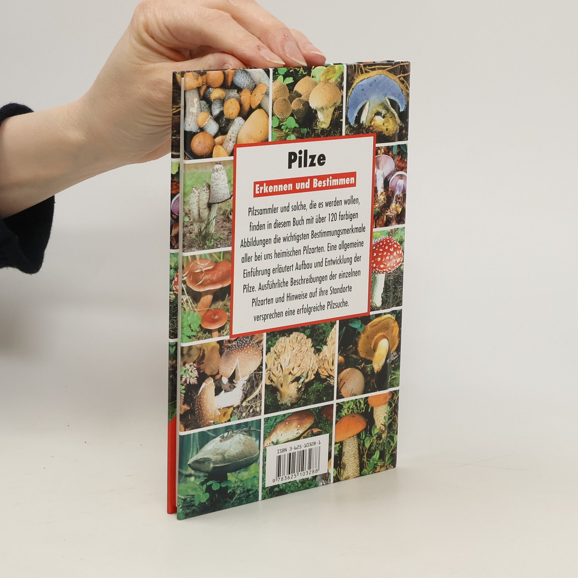 Various authors Pilze. Erkennen und Bestimmen